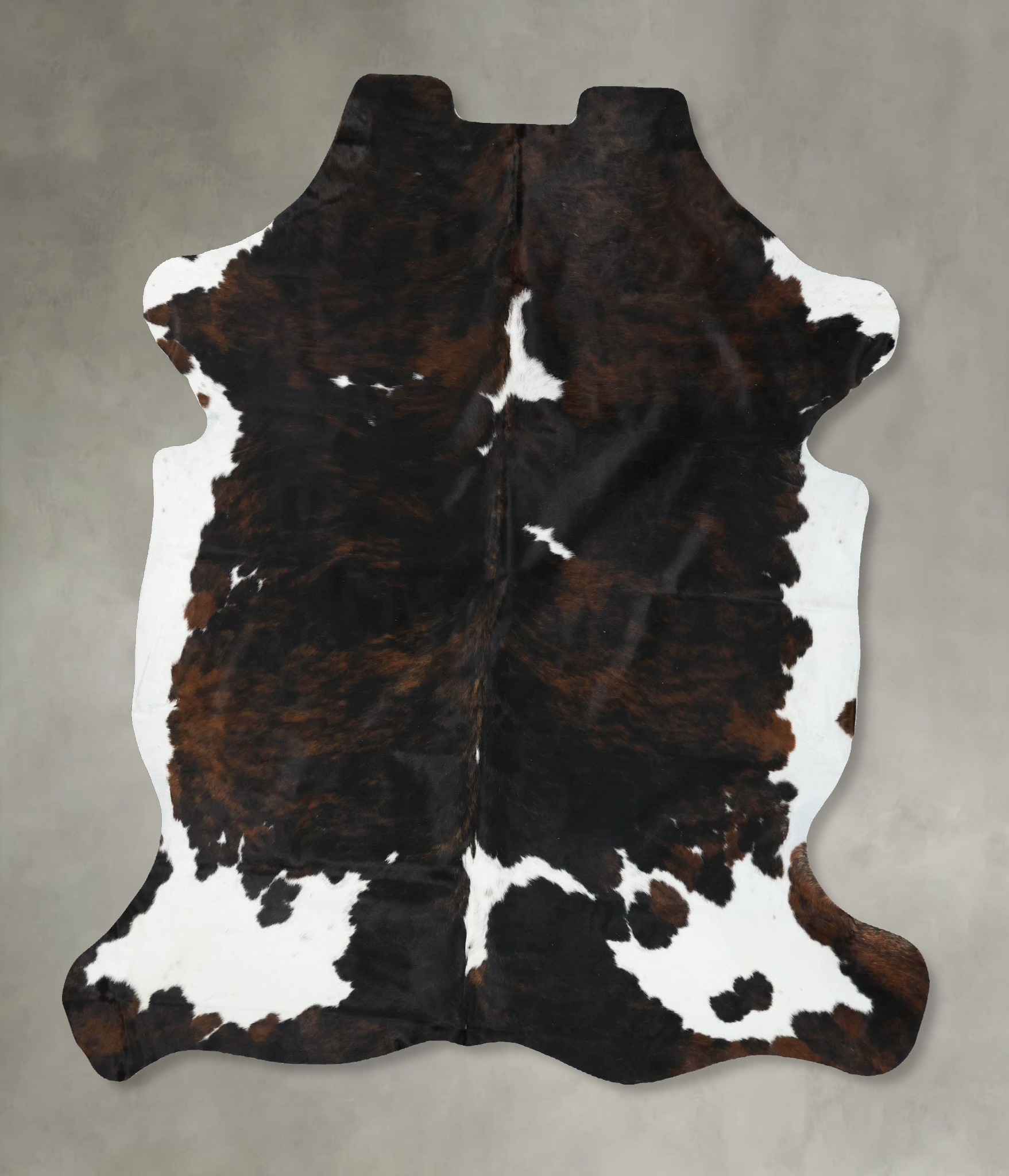 Tricolor Cowhide Rug #B22388