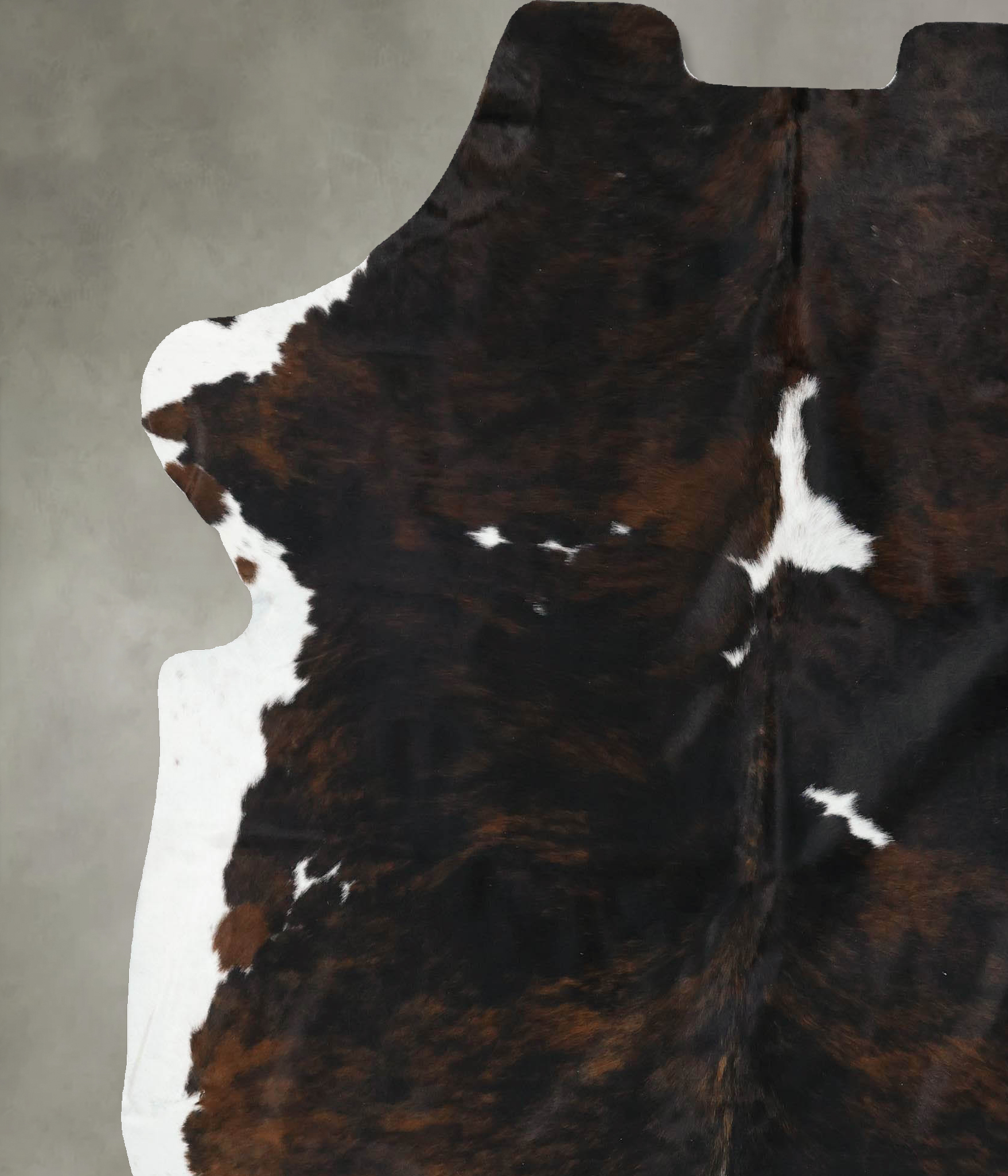 Tricolor Cowhide Rug #B22388