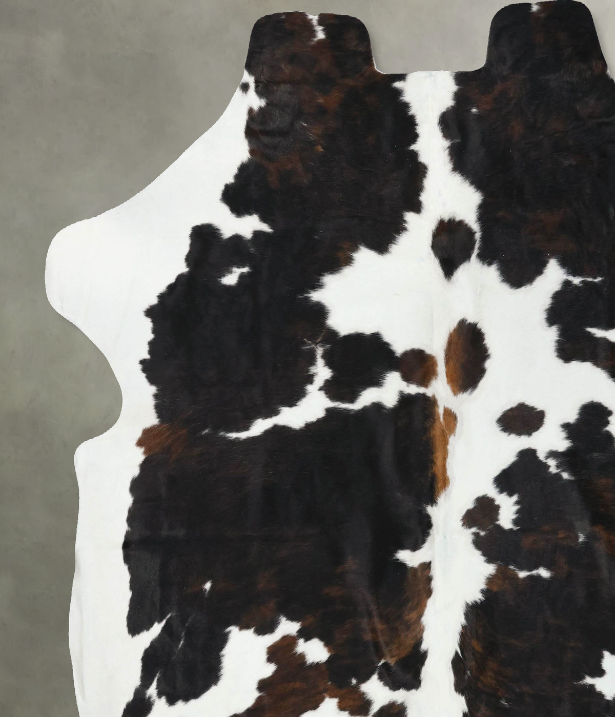 Tricolor XX-Large European Cowhide Rug 7'8"H x 7'1"W #B22389 by Hudson Hides
