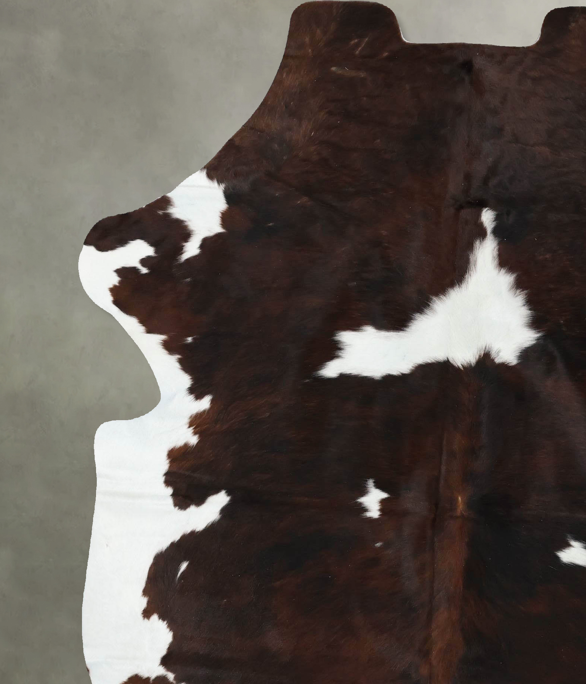 Tricolor X-Large European Cowhide Rug 7'6"H x 6'2"W #B22393 by Hudson Hides