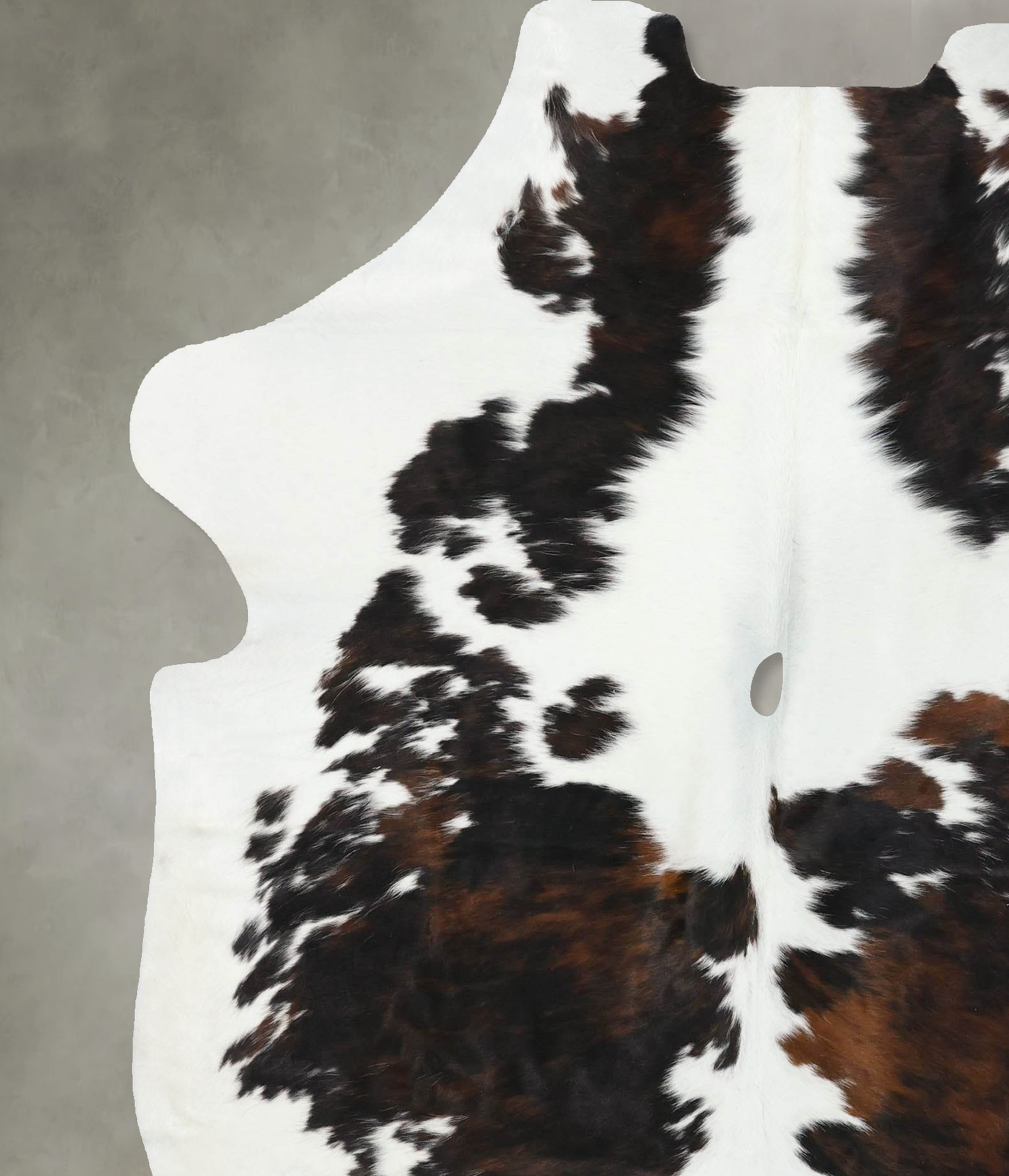 Tricolor Cowhide Rug #B22400