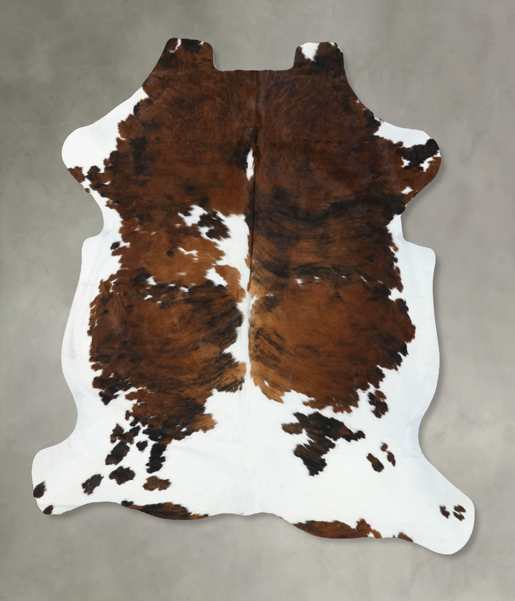 Tricolor Cowhide Rug #B22401