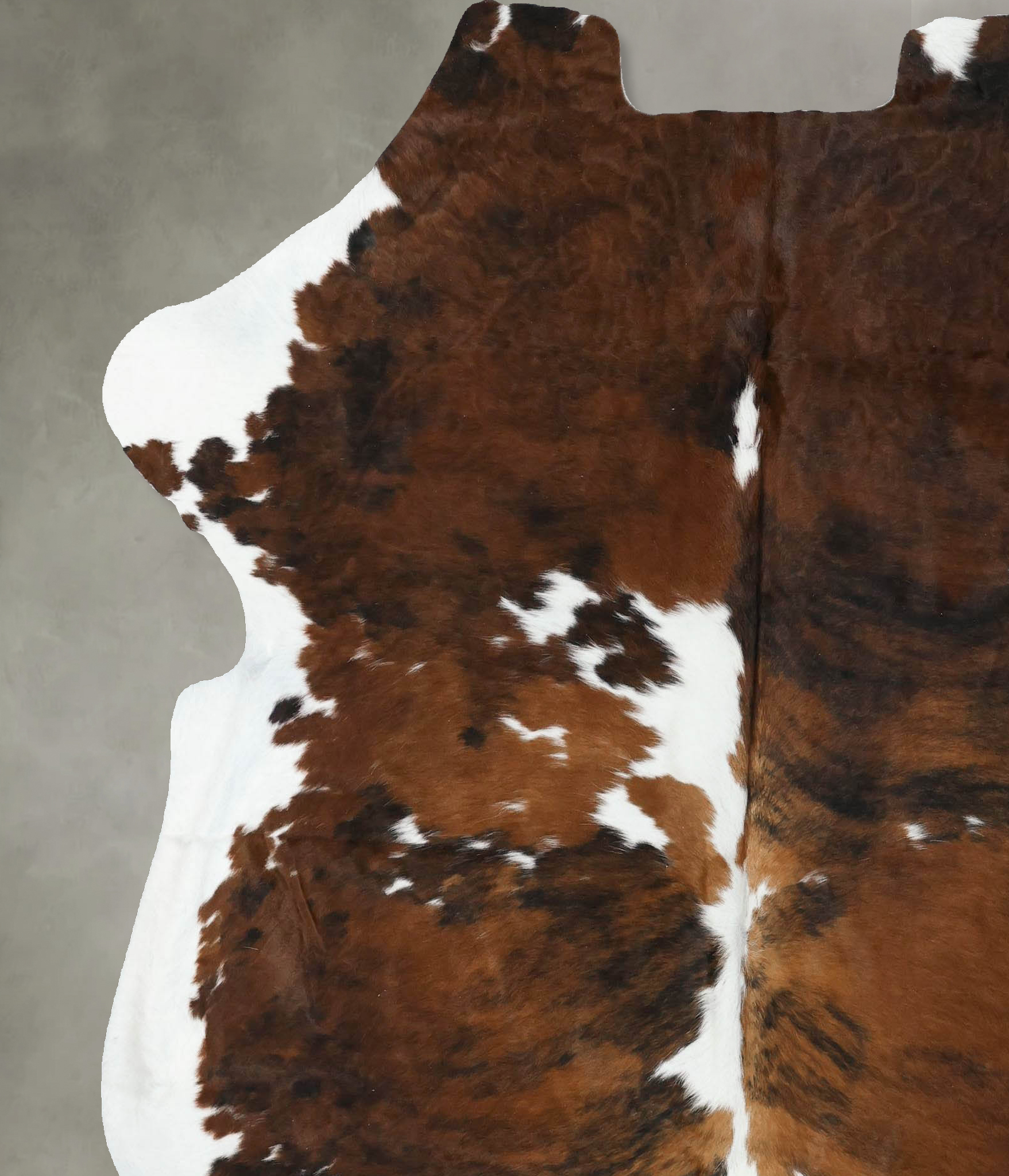Tricolor Cowhide Rug #B22401