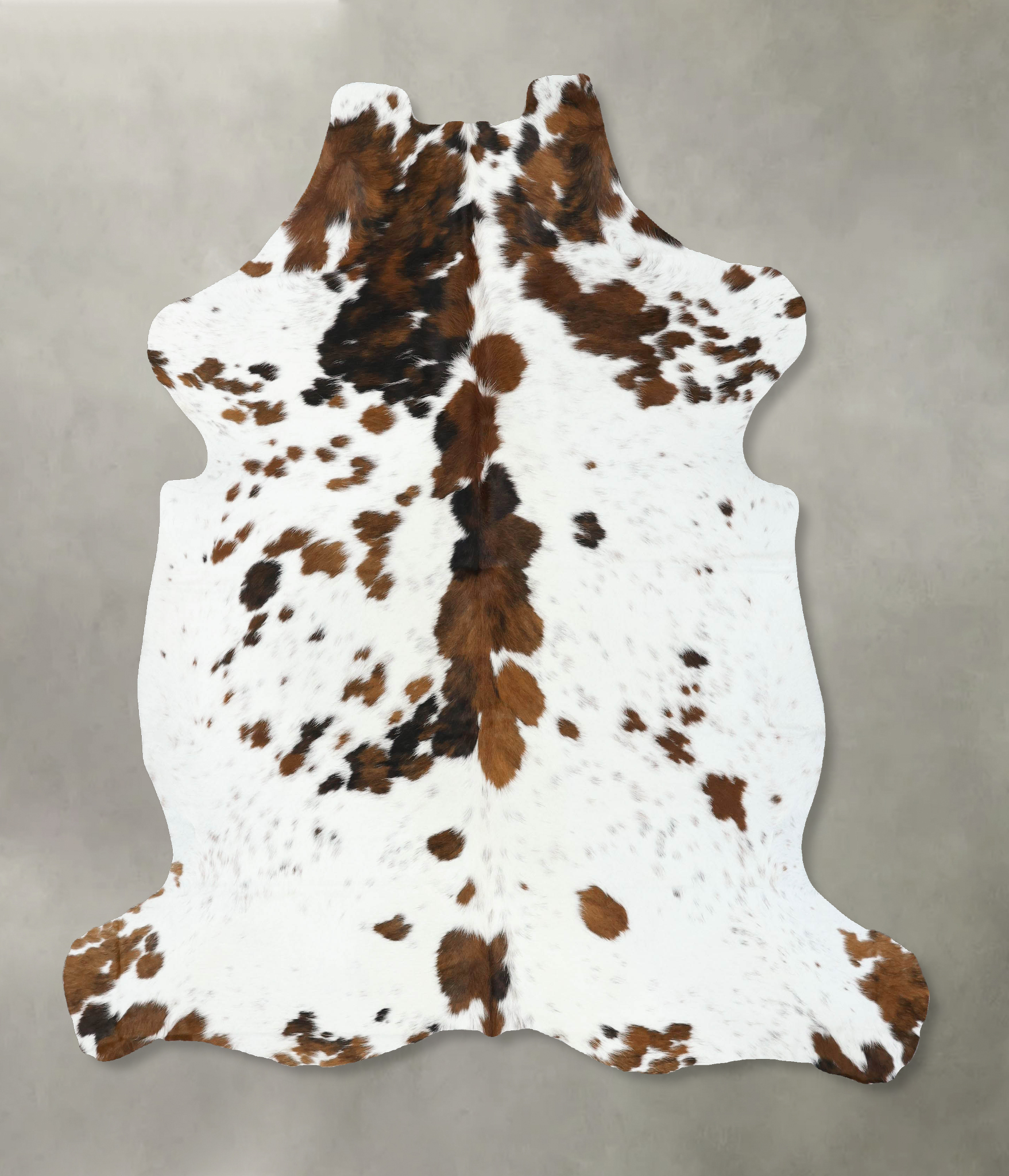 Tricolor Cowhide Rug #B22402