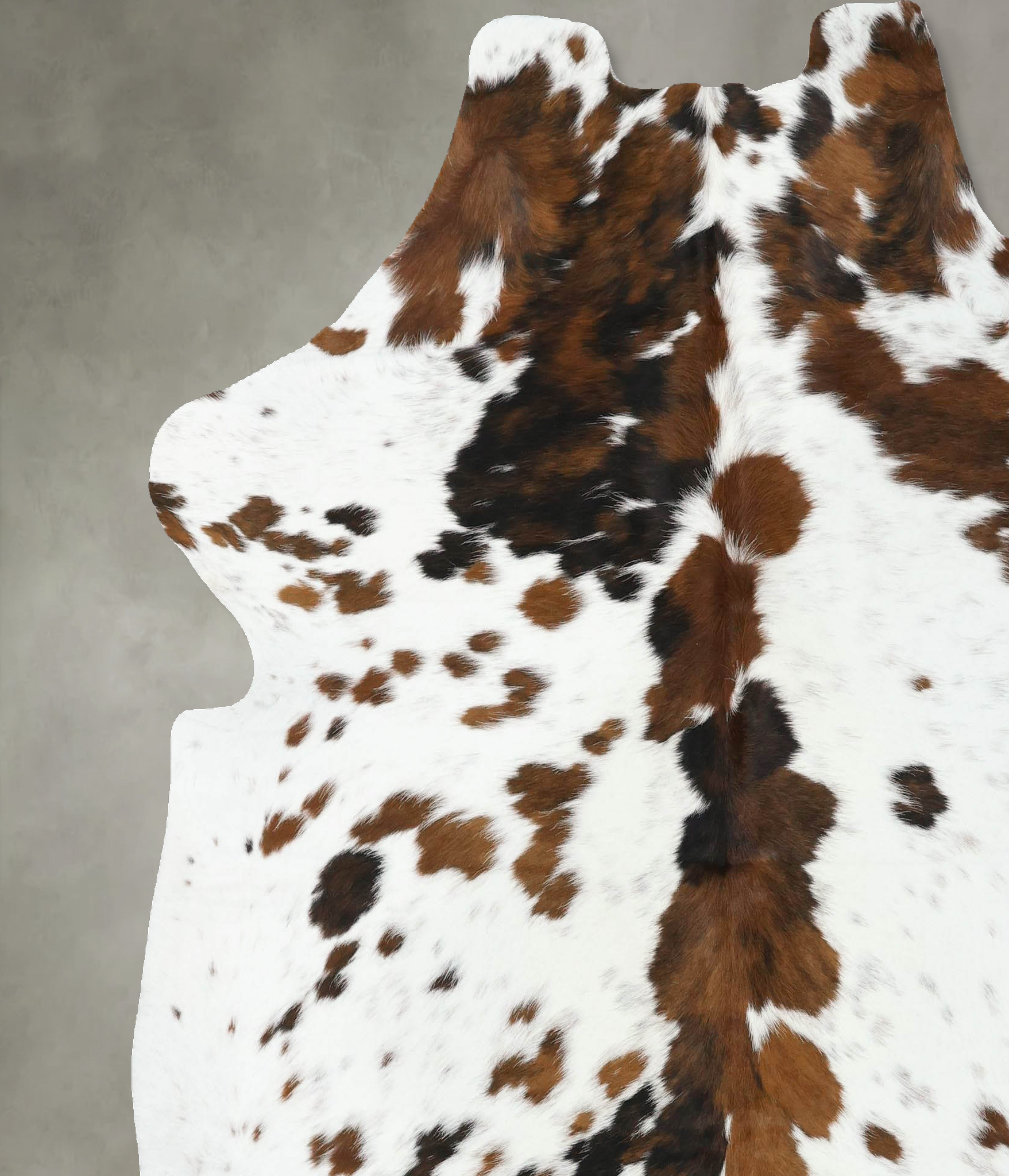 Tricolor Cowhide Rug #B22402