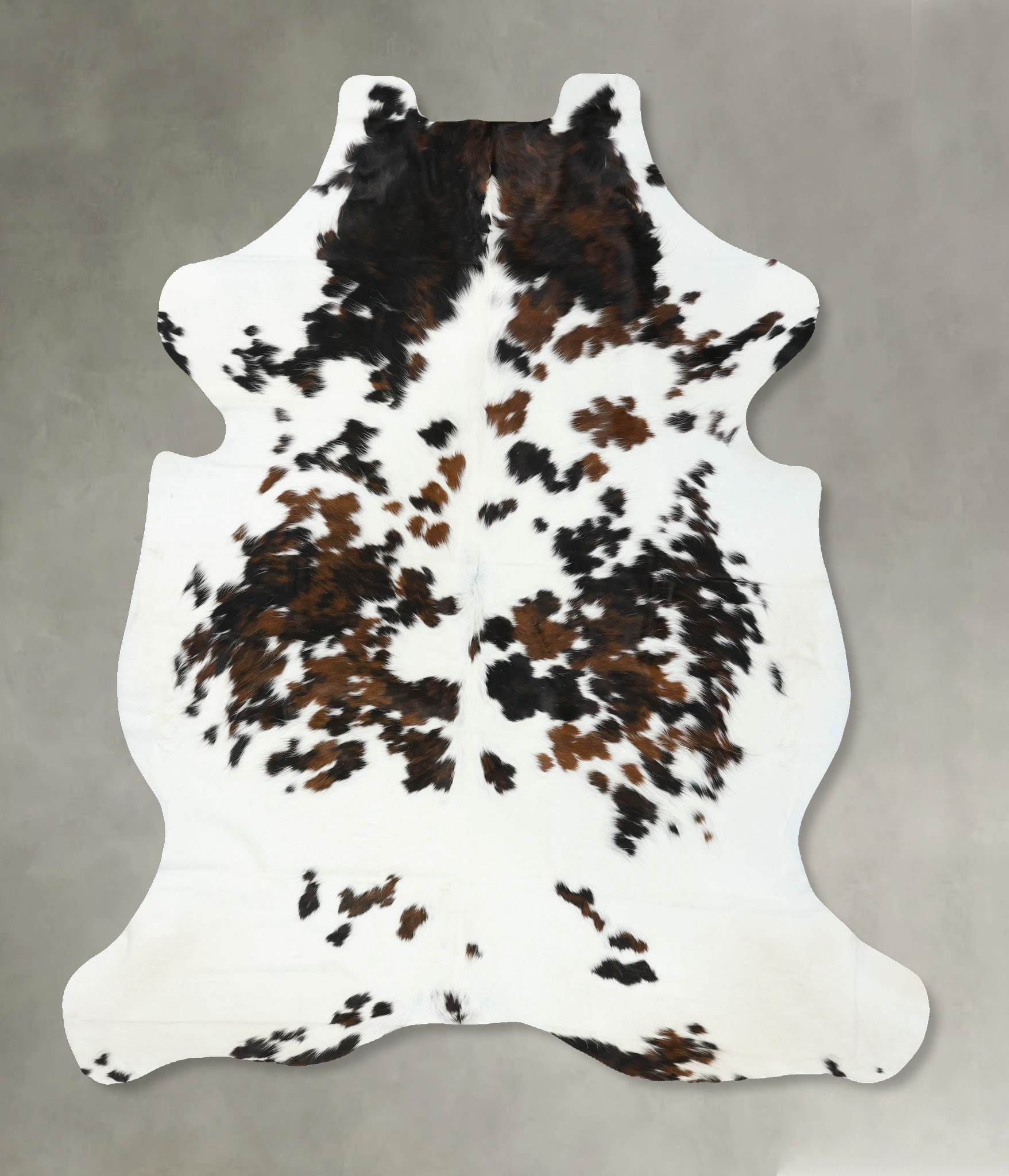 Tricolor Cowhide Rug #B22405