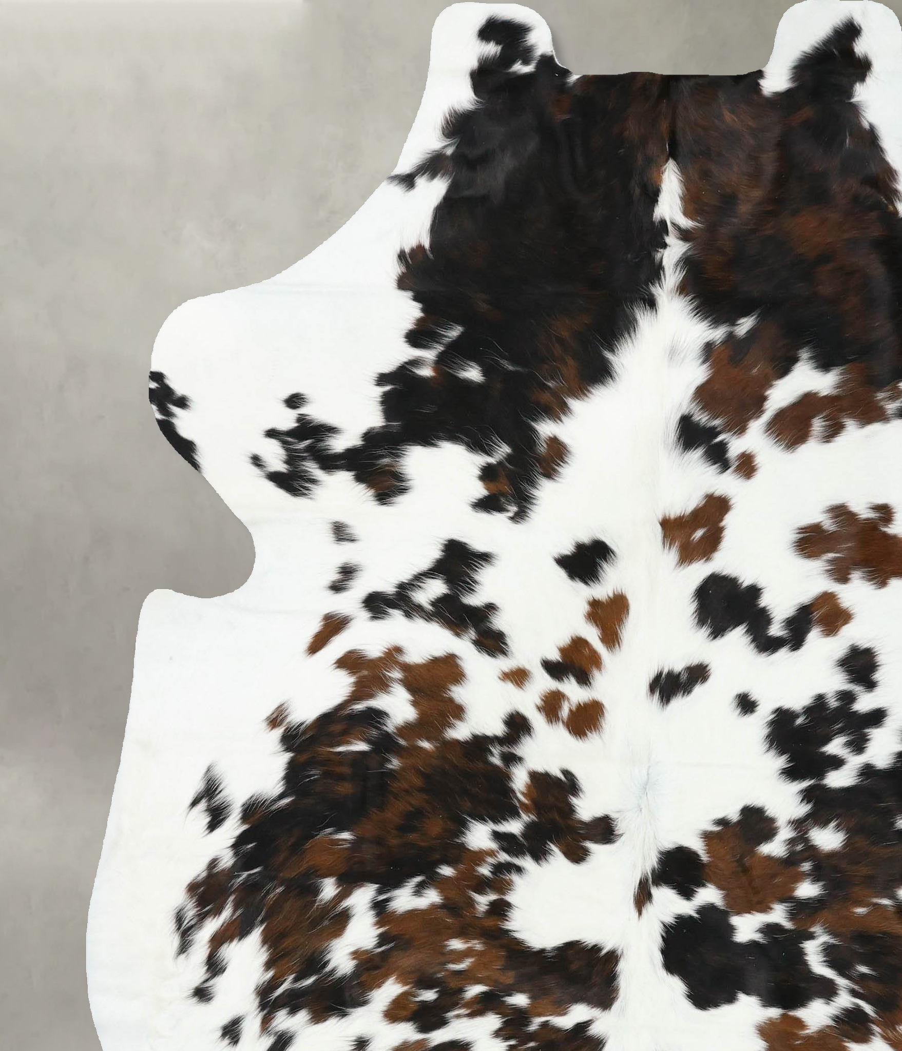 Tricolor Cowhide Rug #B22405