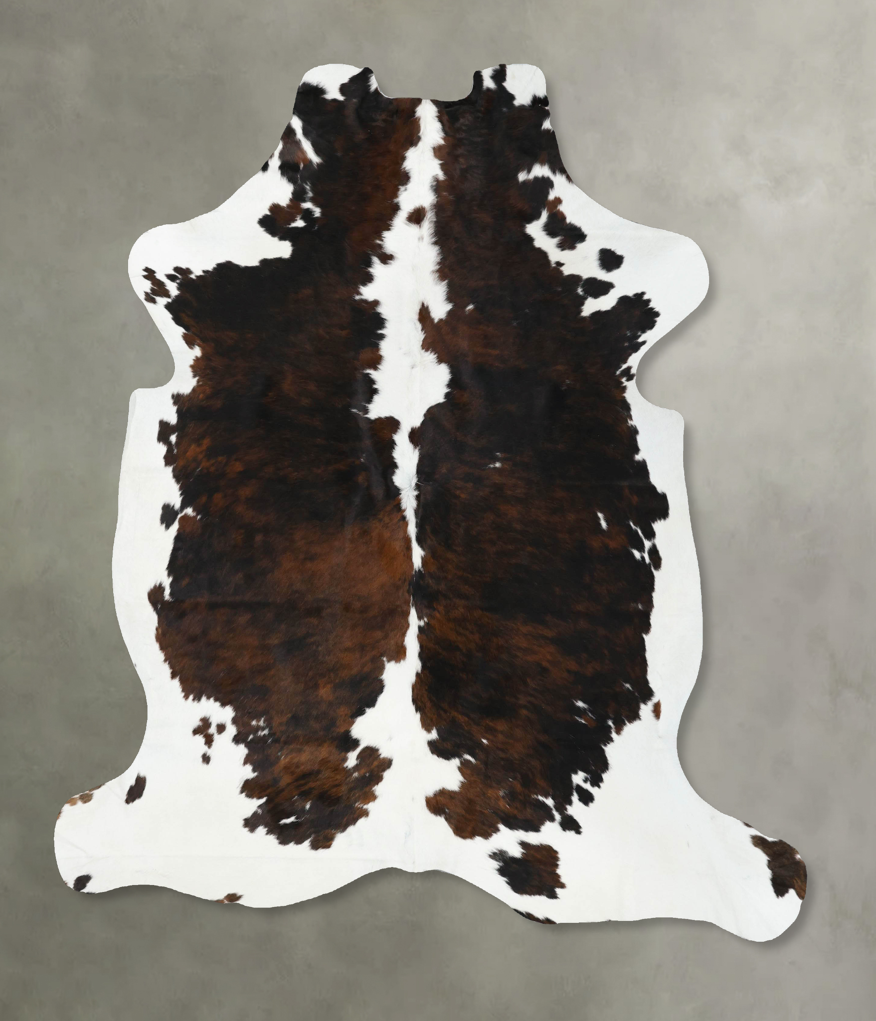 Tricolor Cowhide Rug #B22412