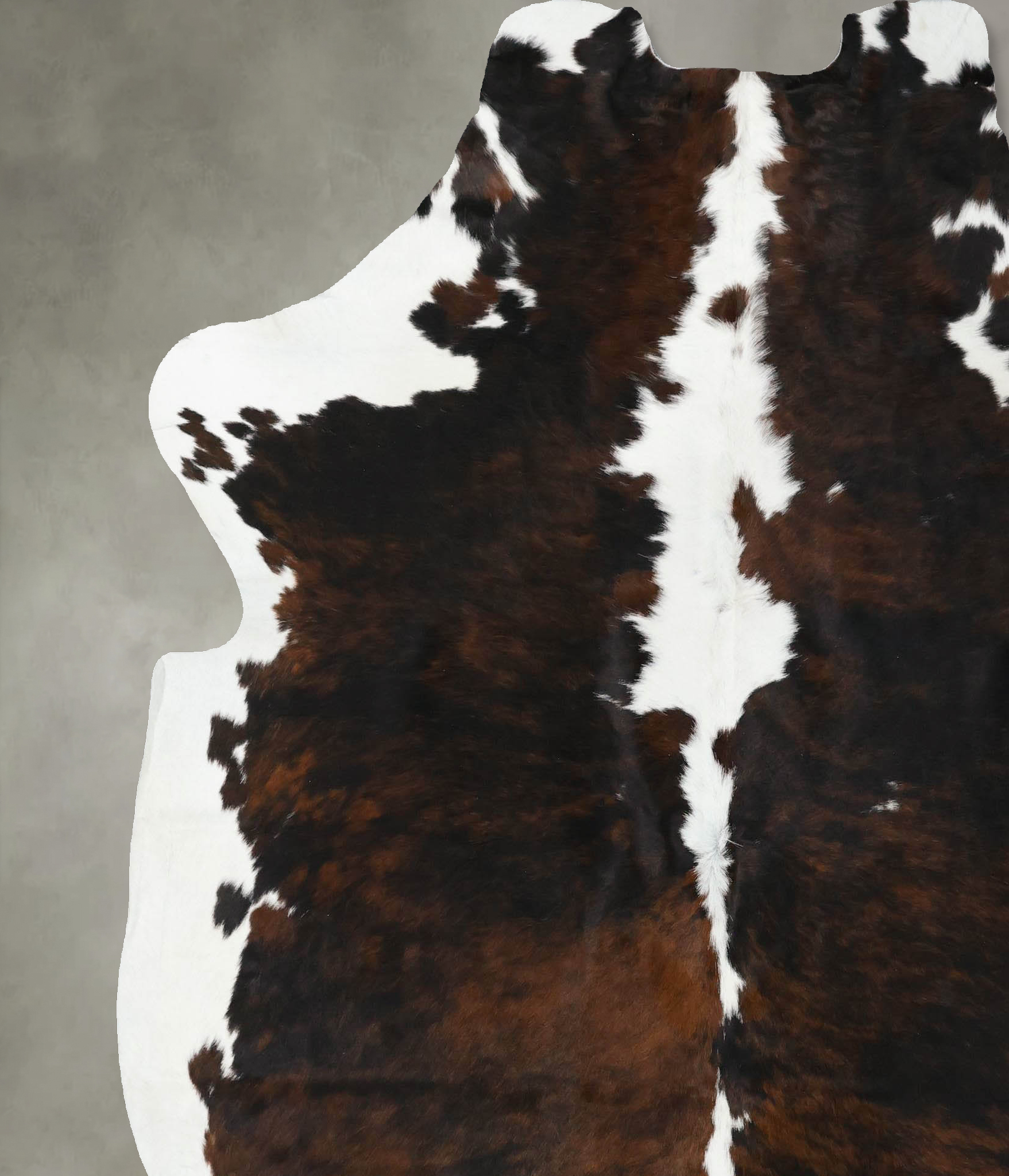 Tricolor Cowhide Rug #B22412