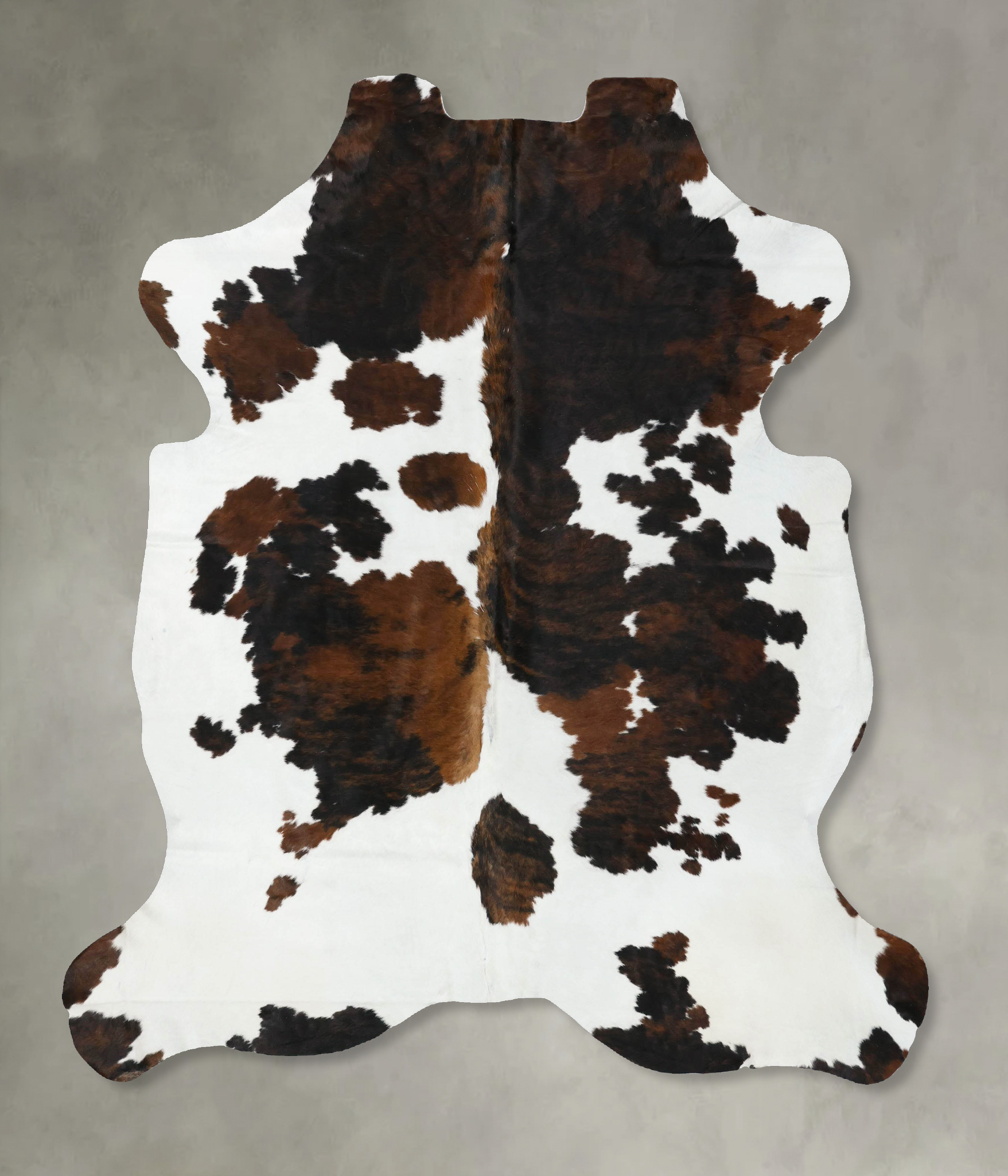 Tricolor Cowhide Rug #B22413