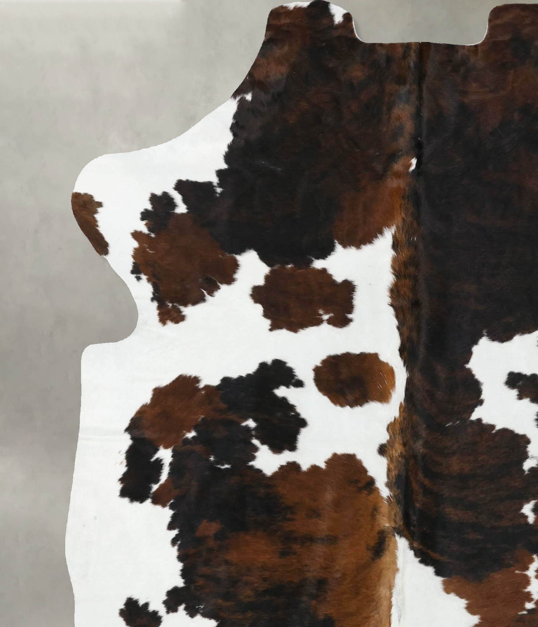 Tricolor Cowhide Rug #B22413