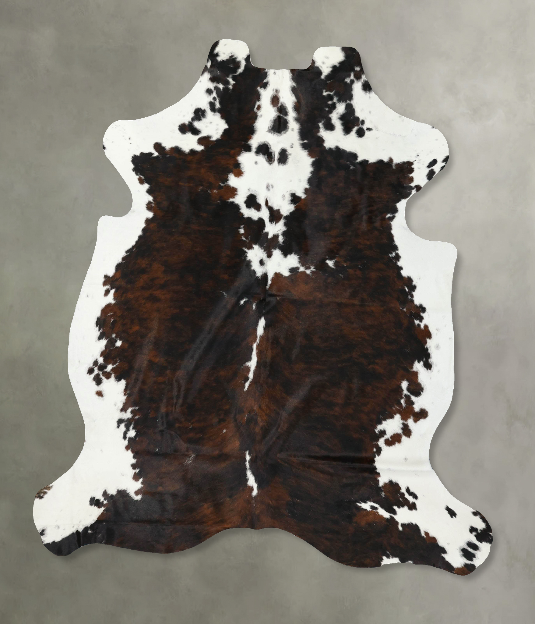 Tricolor Cowhide Rug #B22414