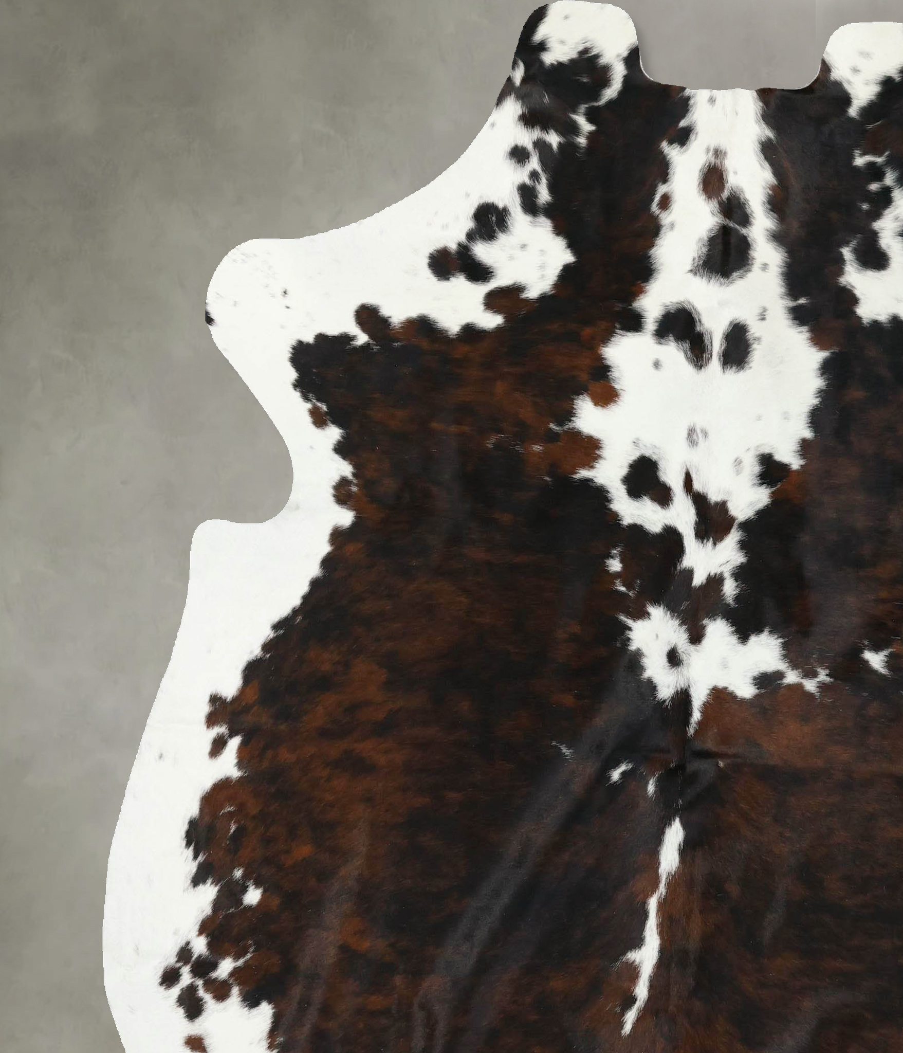 Tricolor Cowhide Rug #B22414