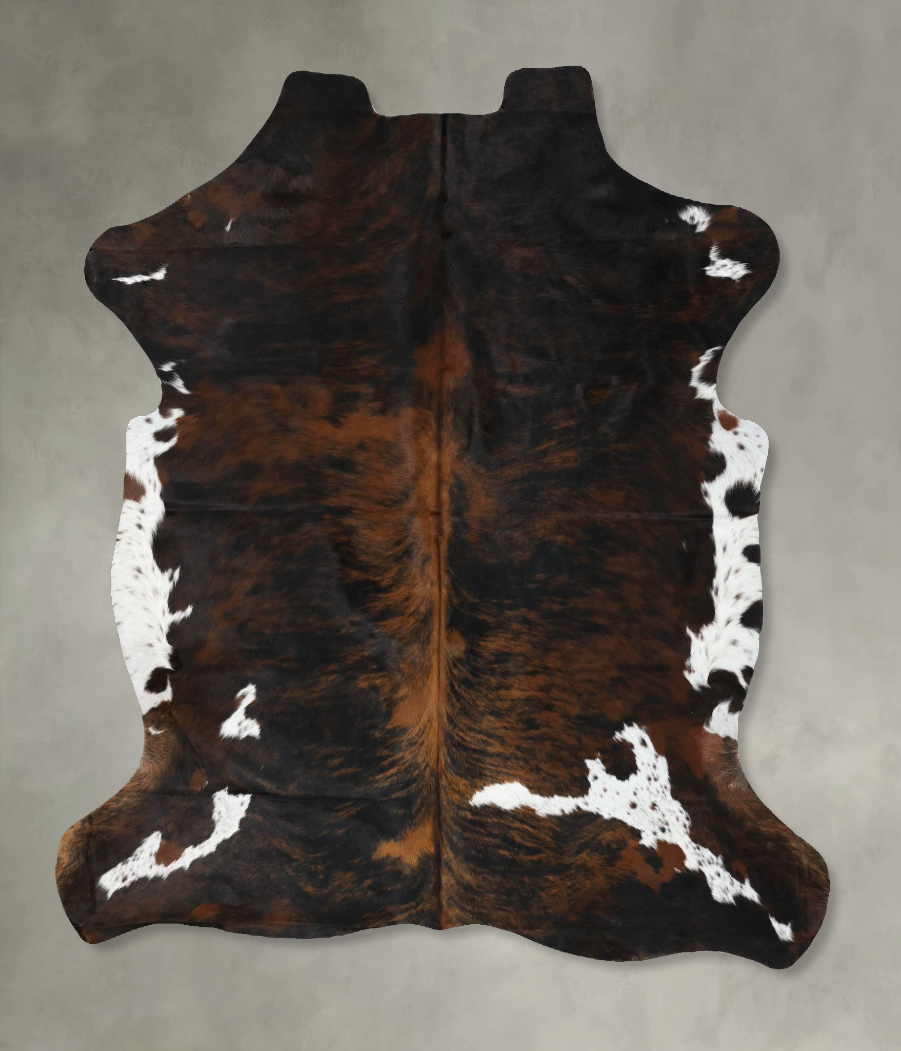 Tricolor Cowhide Rug #B22416