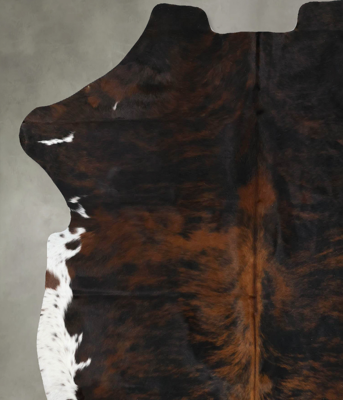 Tricolor X-Large European Cowhide Rug 6'10"H x 5'11"W #B22416 by Hudson Hides