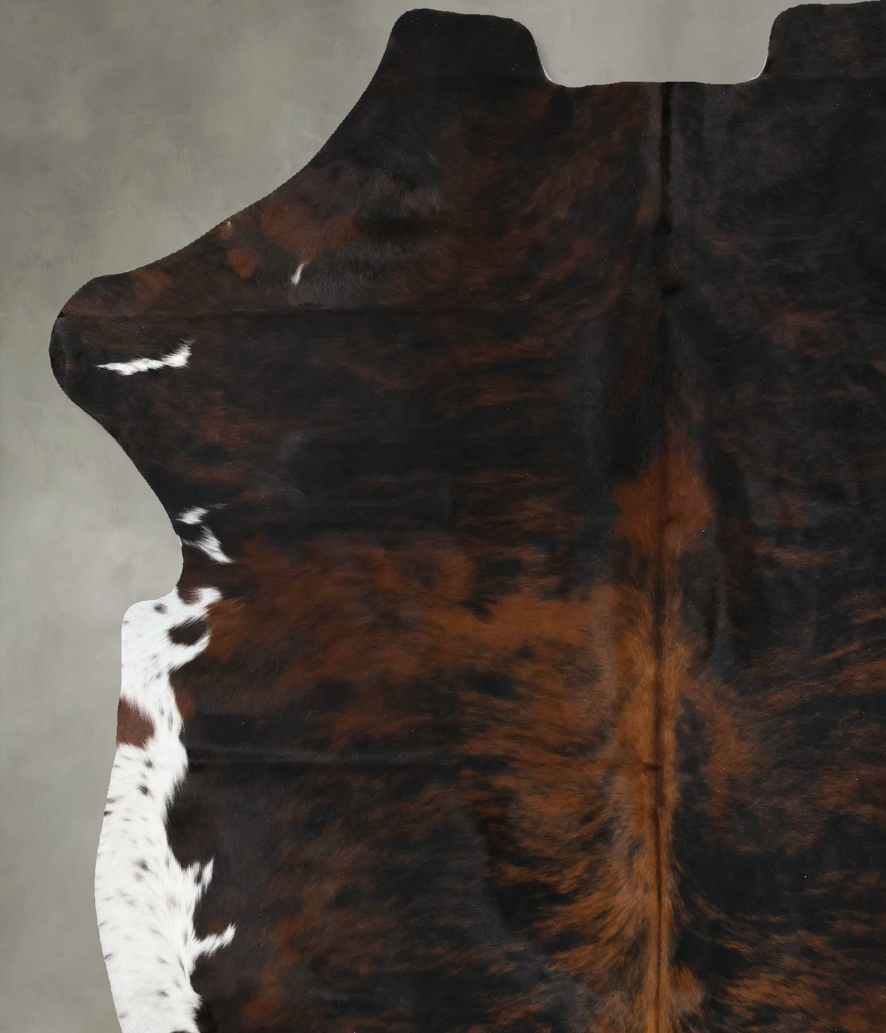 Tricolor Cowhide Rug #B22416