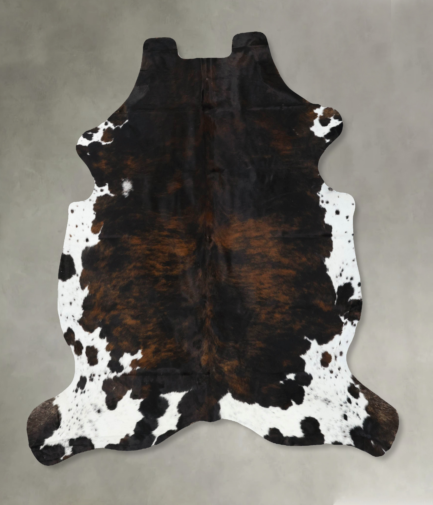 Tricolor Cowhide Rug #B22418