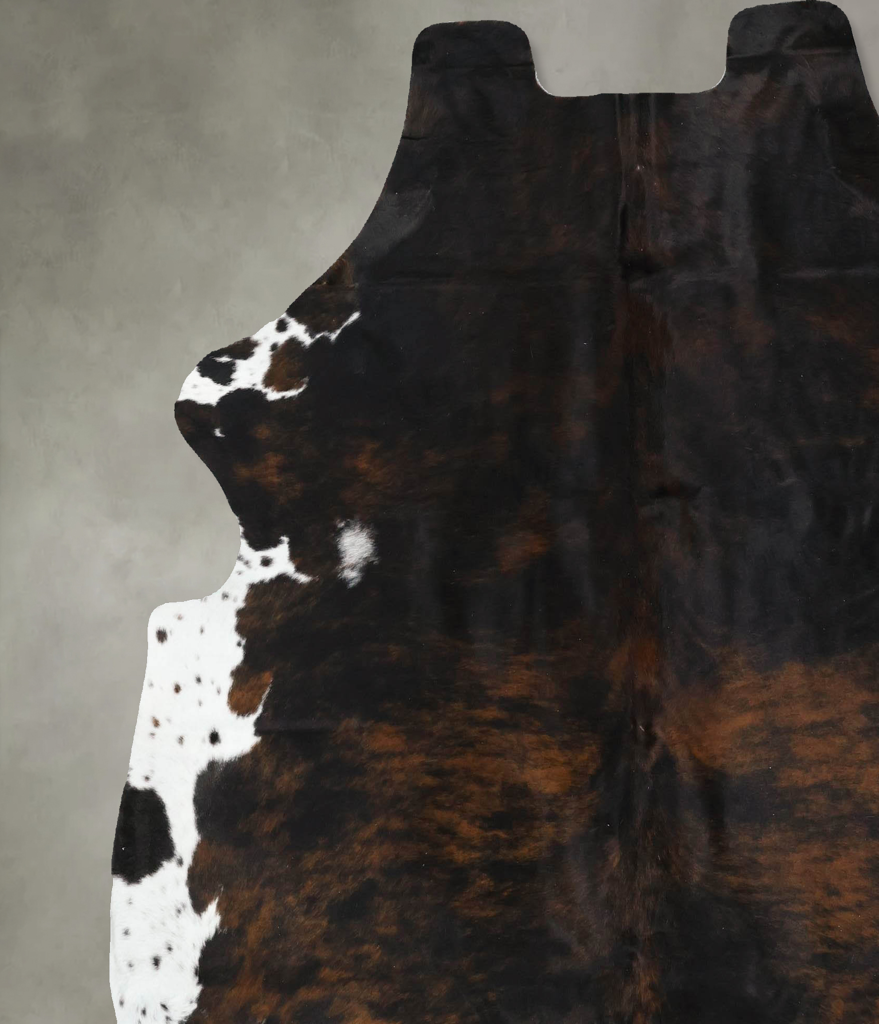 Tricolor Cowhide Rug #B22418