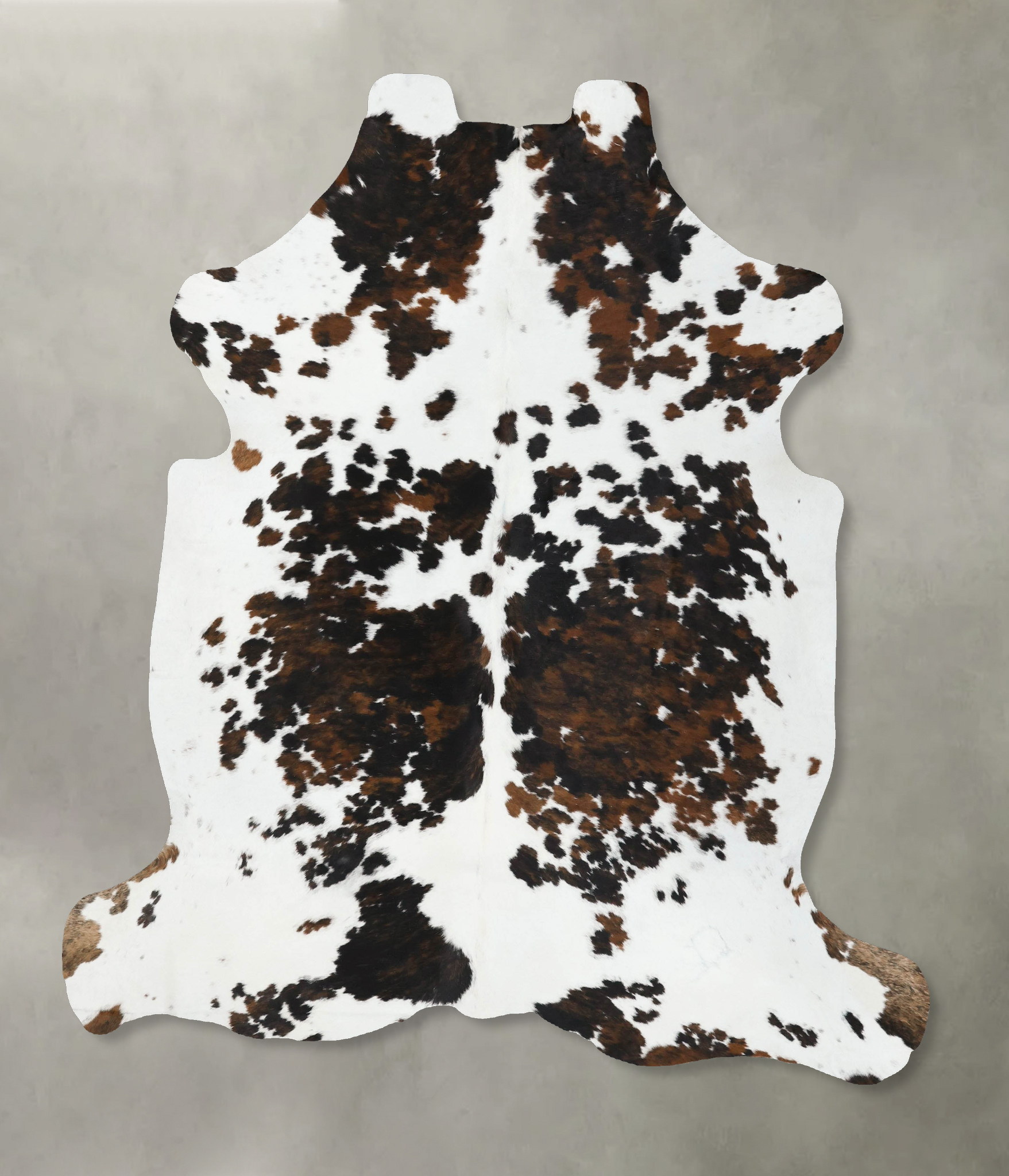 Tricolor Cowhide Rug #B22420