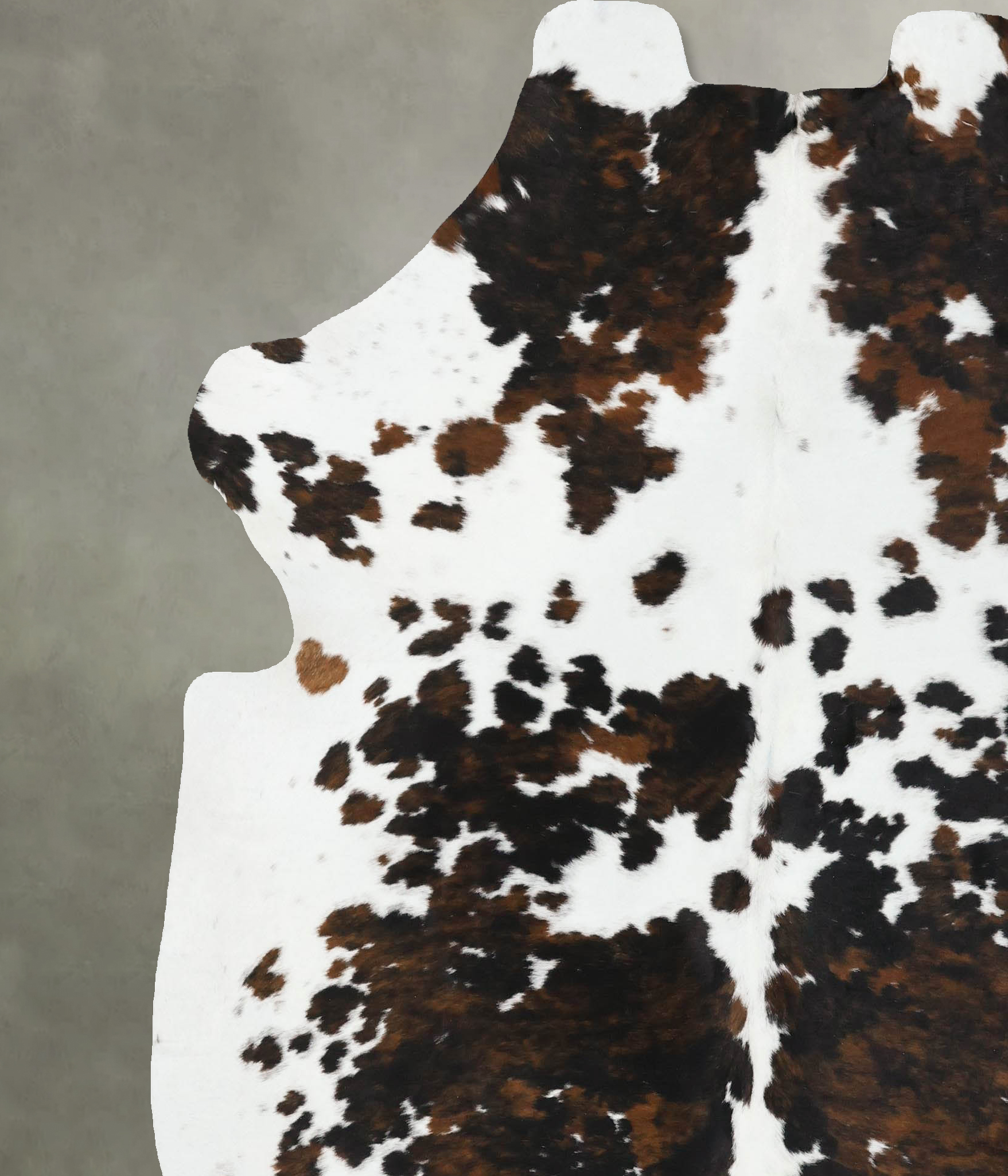 Tricolor Cowhide Rug #B22420