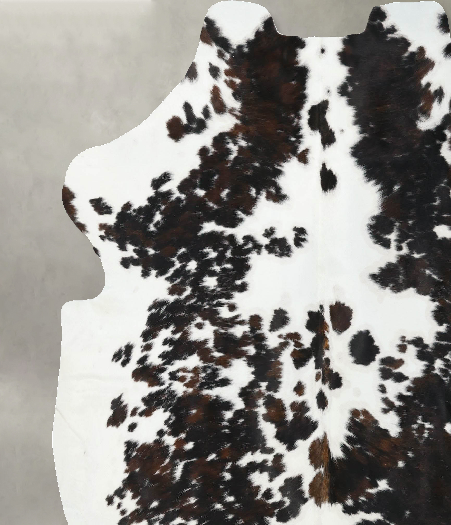 Tricolor Cowhide Rug #B22423