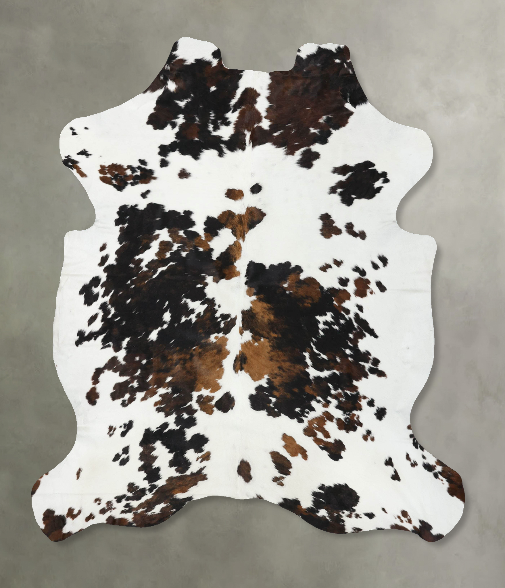 Tricolor Cowhide Rug #B22424