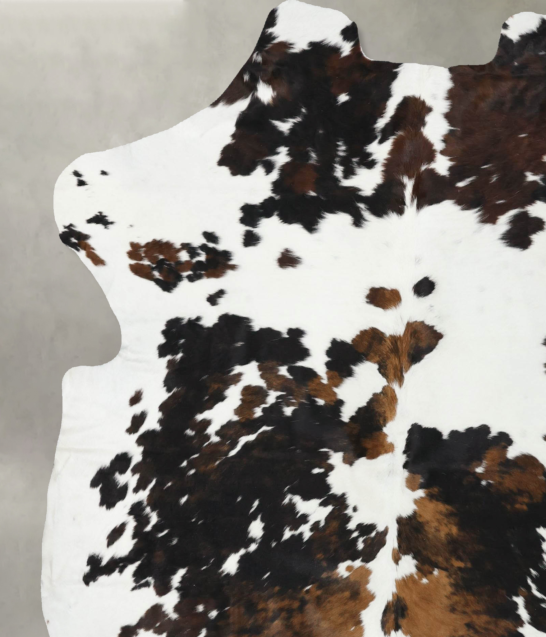 Tricolor Cowhide Rug #B22424