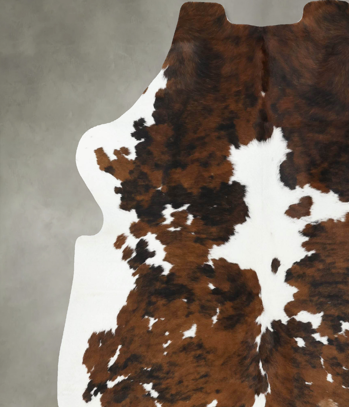 Tricolor X-Large European Cowhide Rug 7'5"H x 6'9"W #B22428 by Hudson Hides