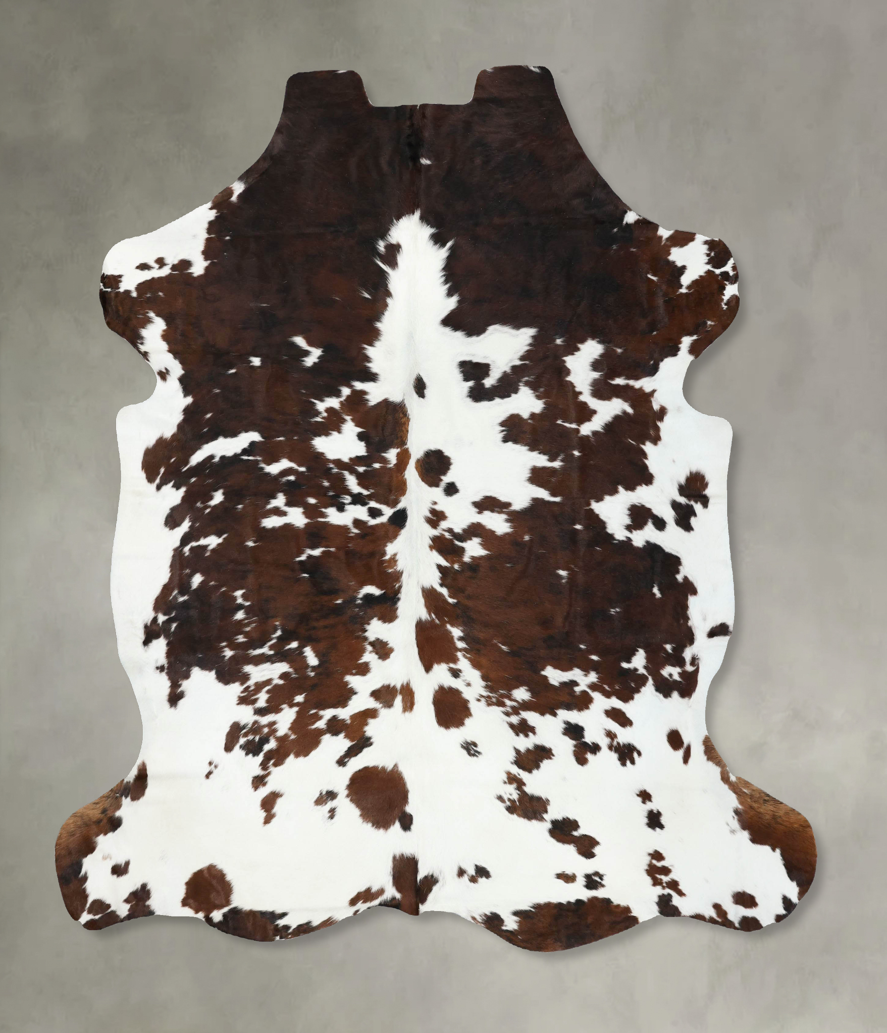 Tricolor Cowhide Rug #B22430