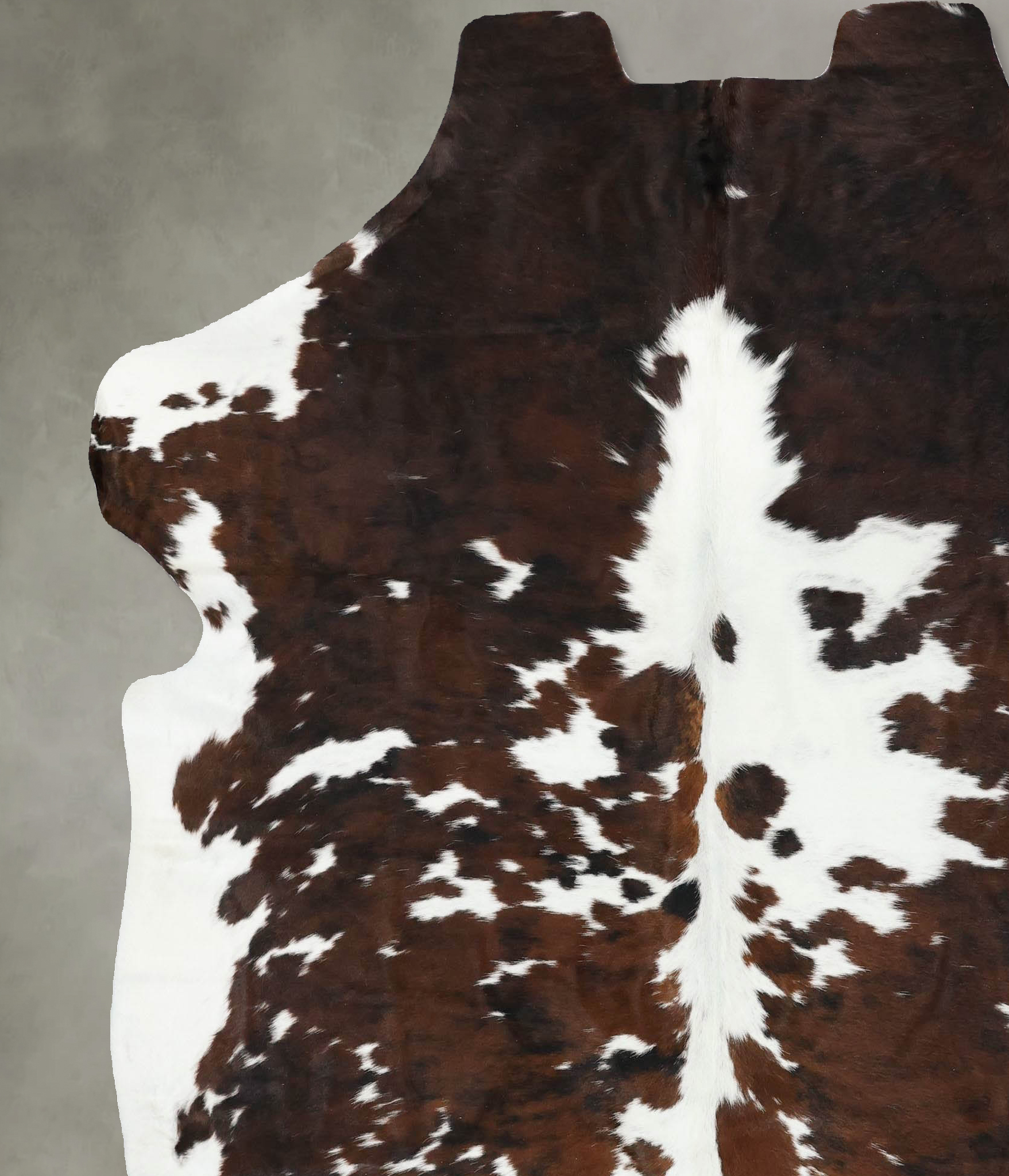 Tricolor Cowhide Rug #B22430