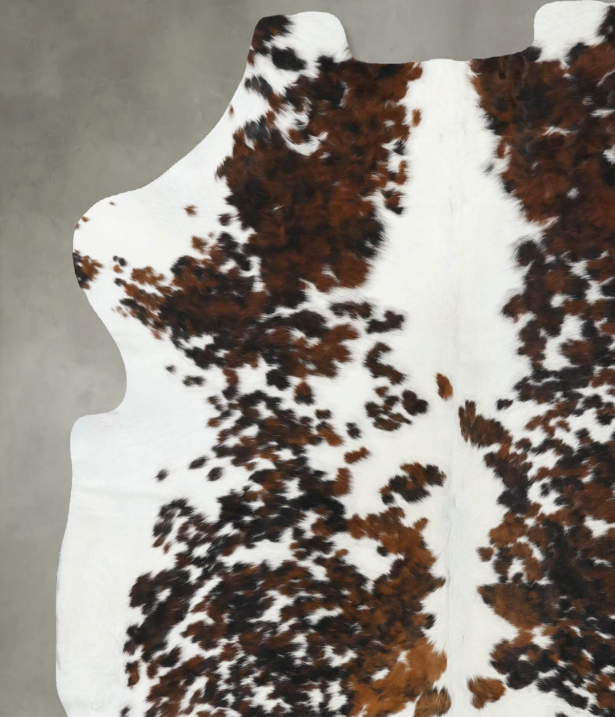 Tricolor X-Large European Cowhide Rug 7'2"H x 6'4"W #B22431 by Hudson Hides