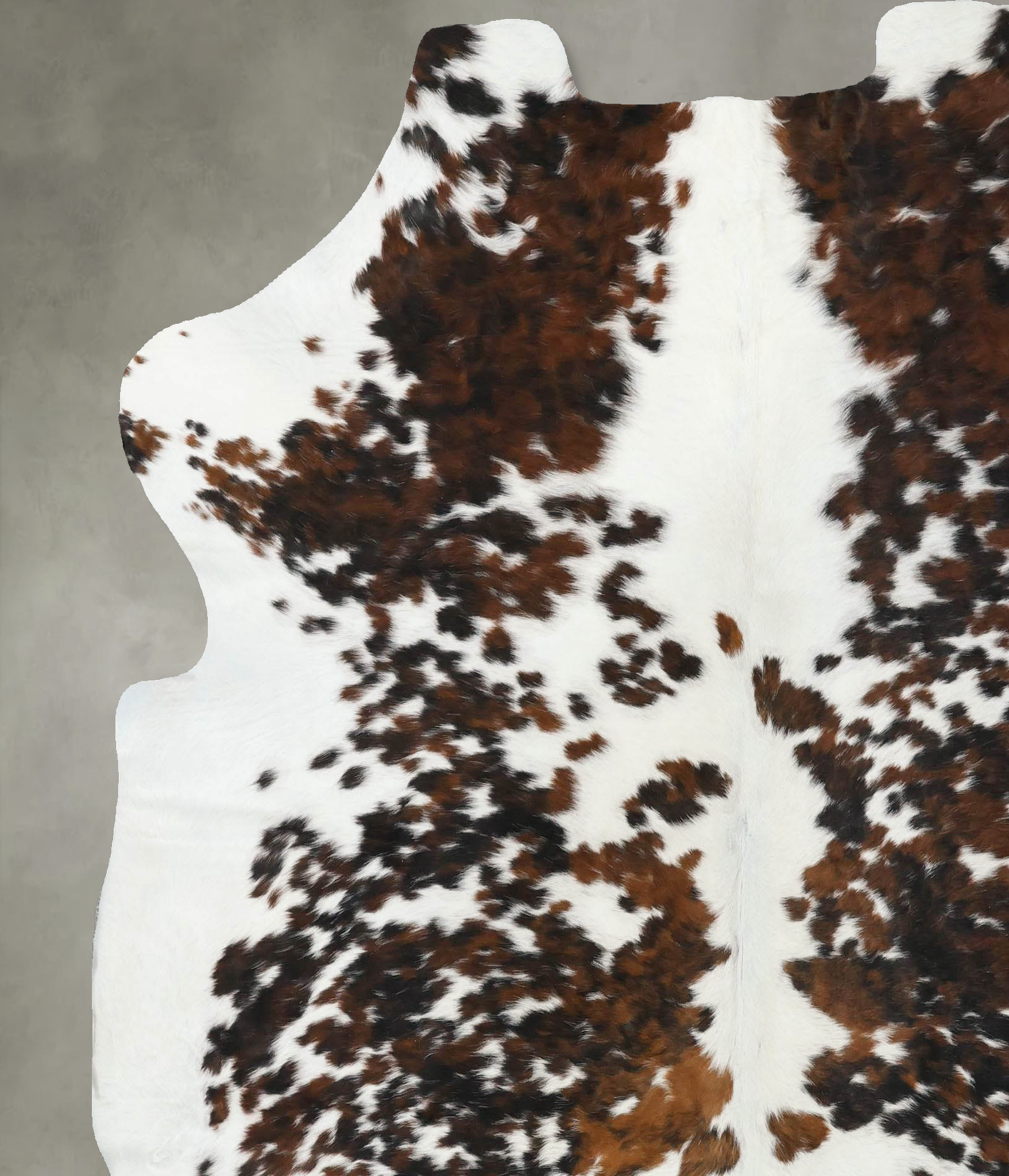 Tricolor Cowhide Rug #B22431