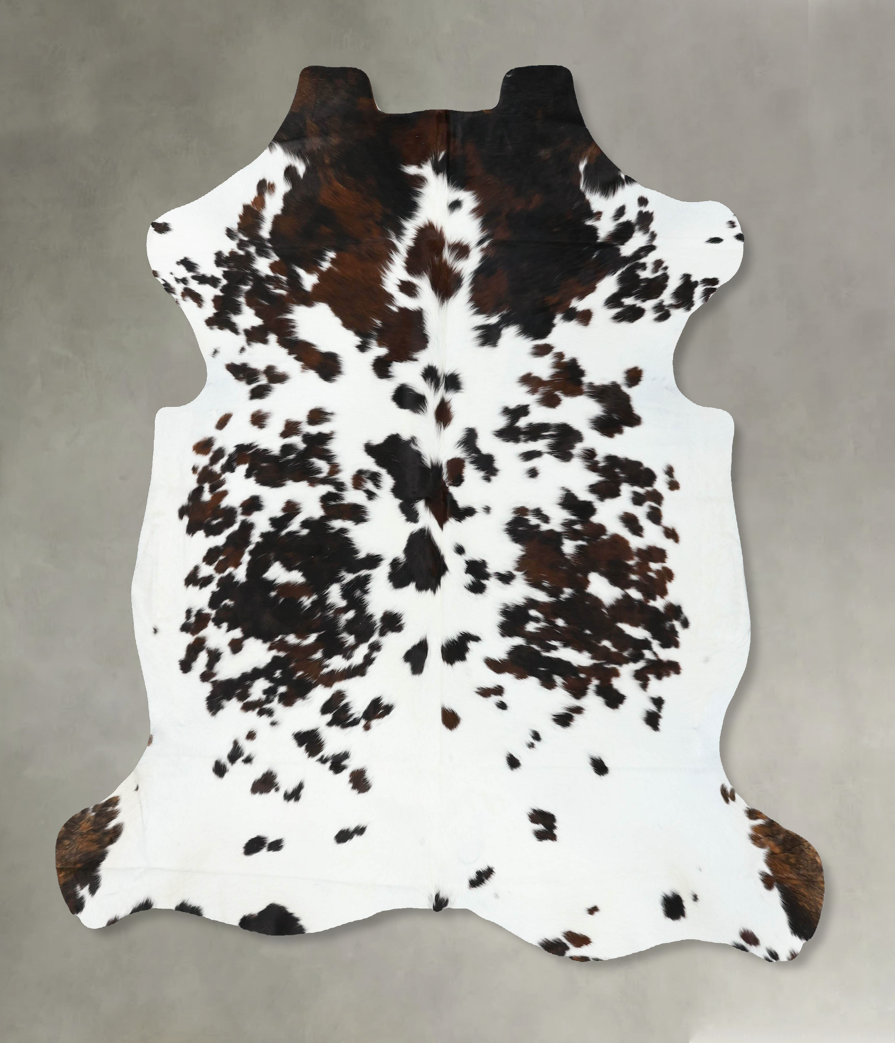 Tricolor Cowhide Rug #B22432