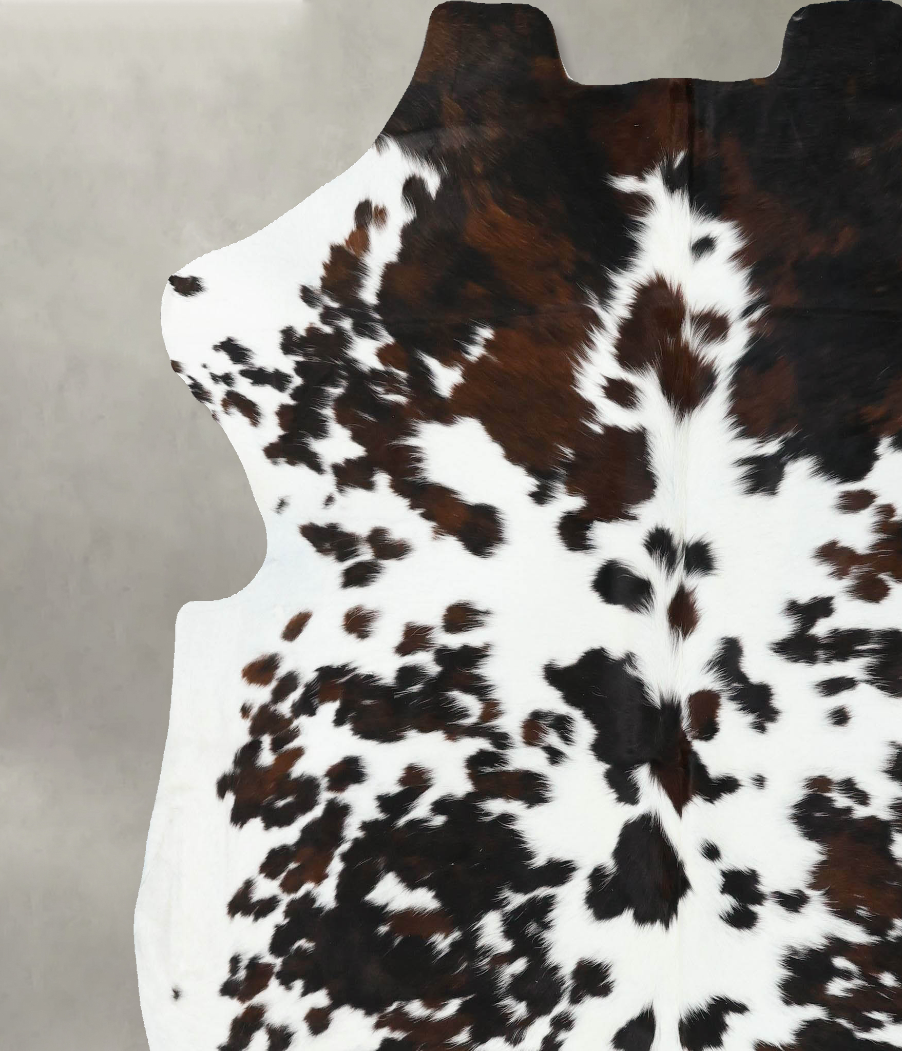 Tricolor Cowhide Rug #B22432