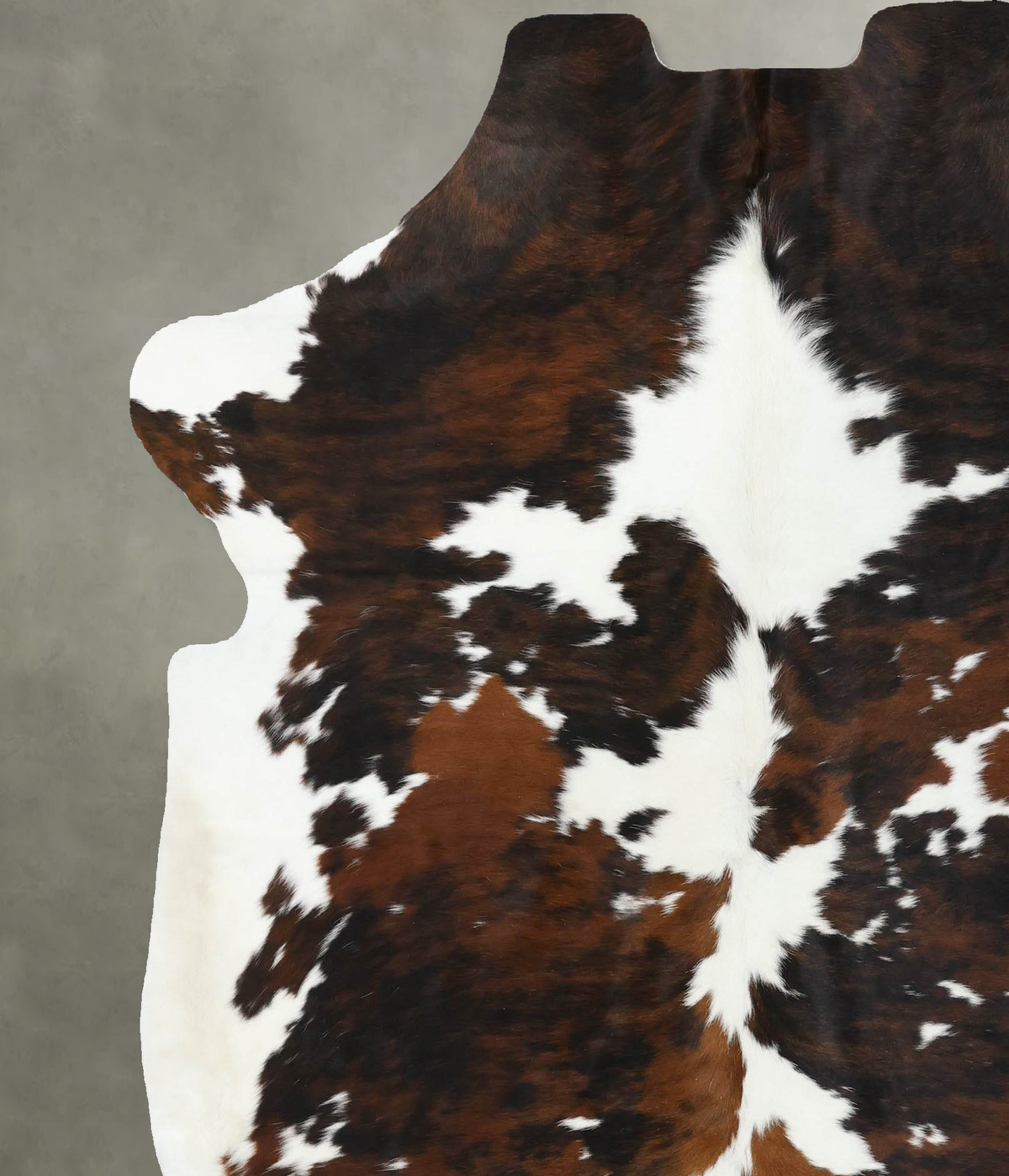 Tricolor X-Large European Cowhide Rug 7'1"H x 6'4"W #B22433 by Hudson Hides