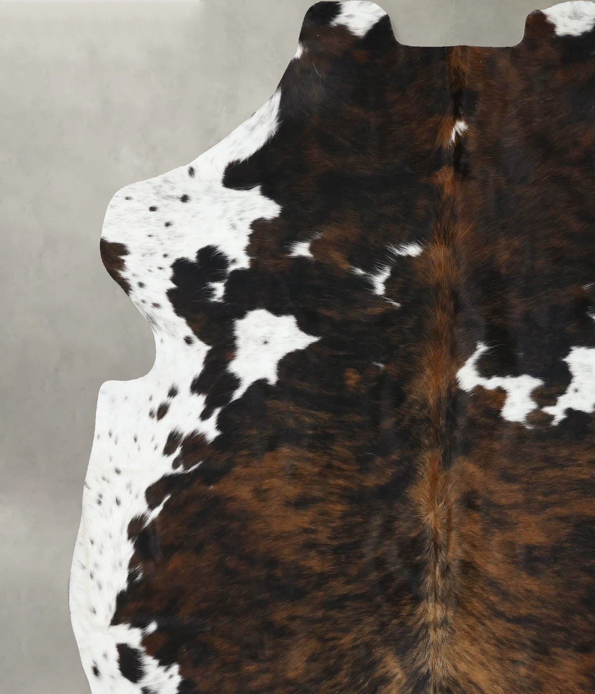 Tricolor X-Large European Cowhide Rug 7'5"H x 6'7"W #B22434 by Hudson Hides