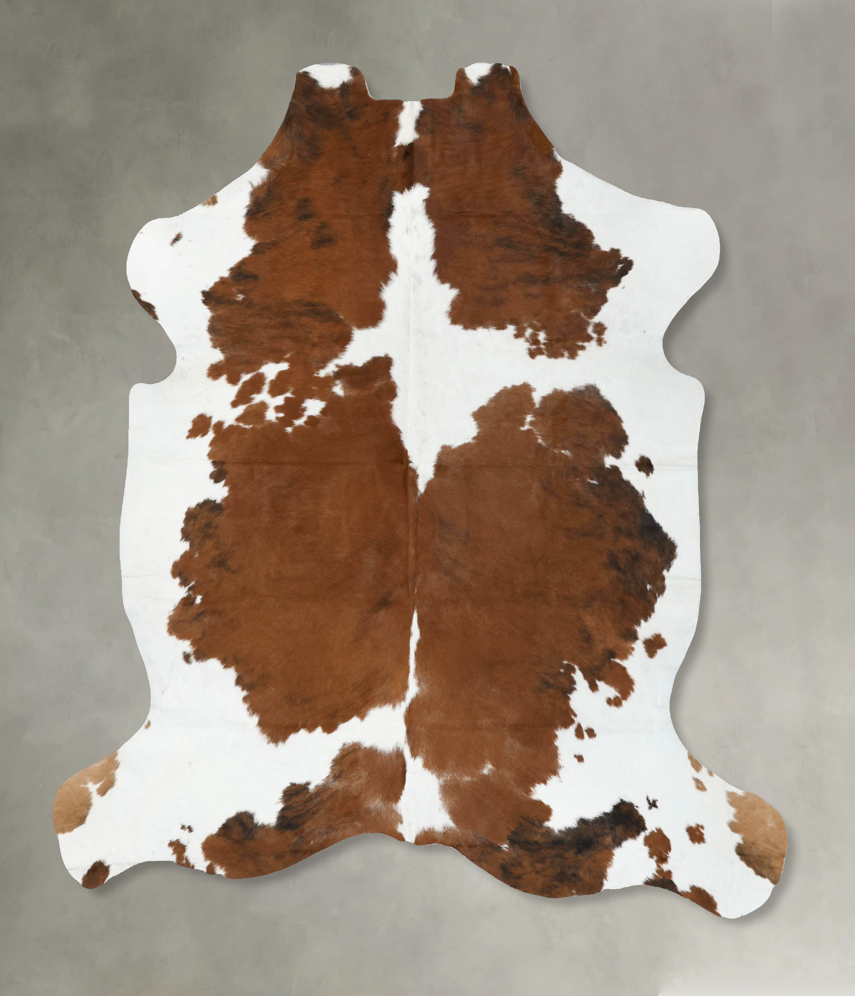 Tricolor Cowhide Rug #B22435