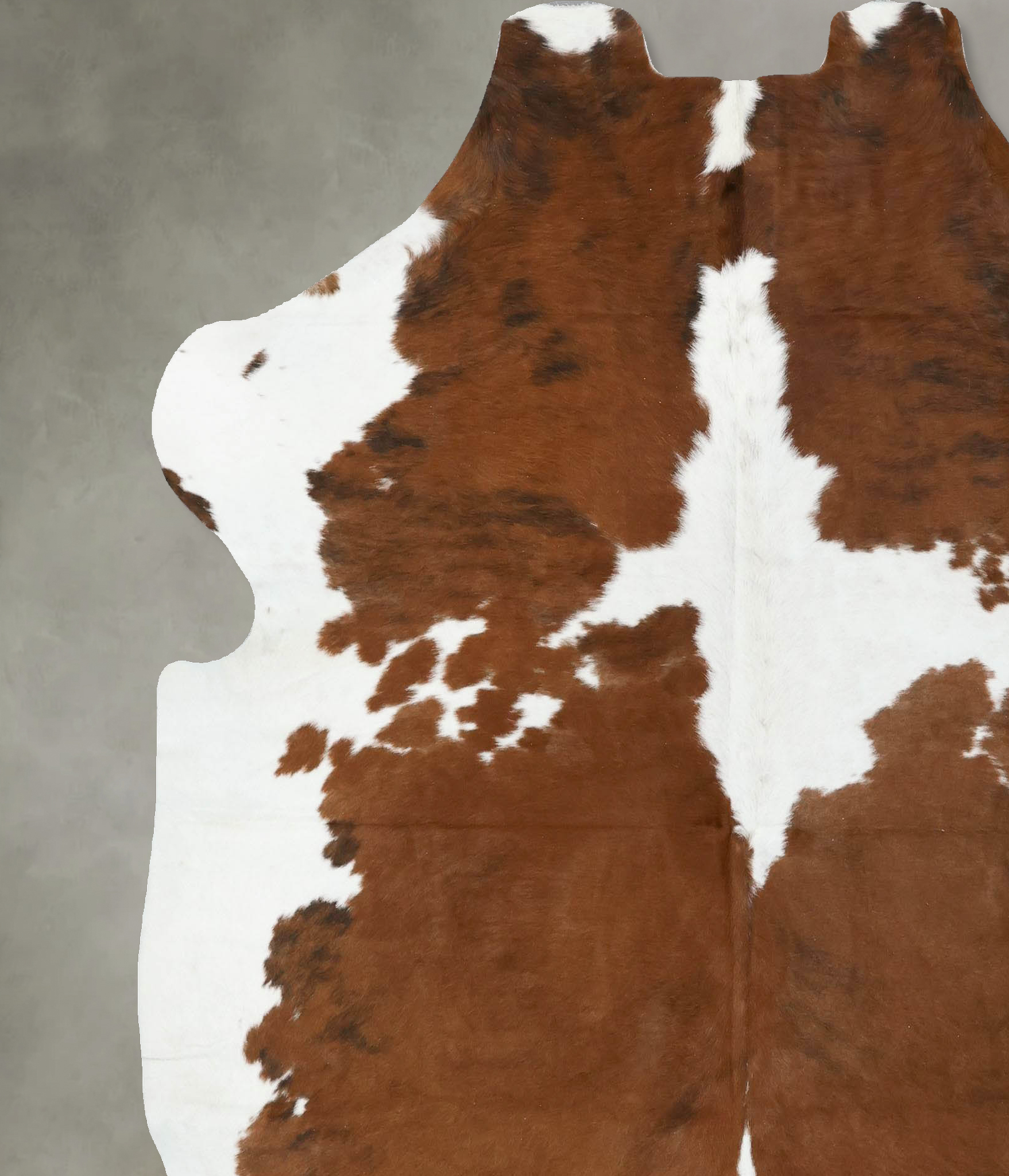 Tricolor Cowhide Rug #B22435