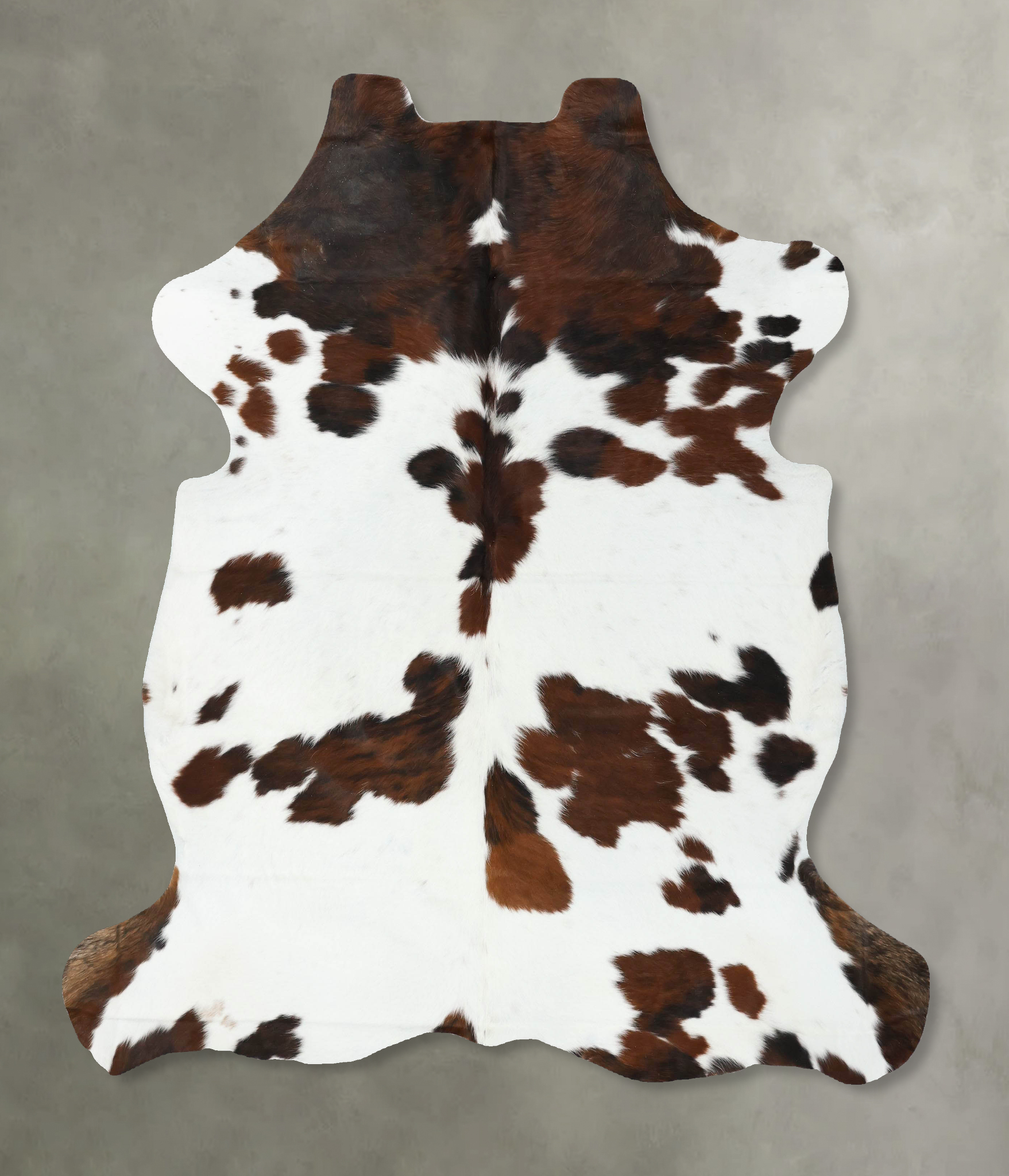 Tricolor Cowhide Rug #B22436