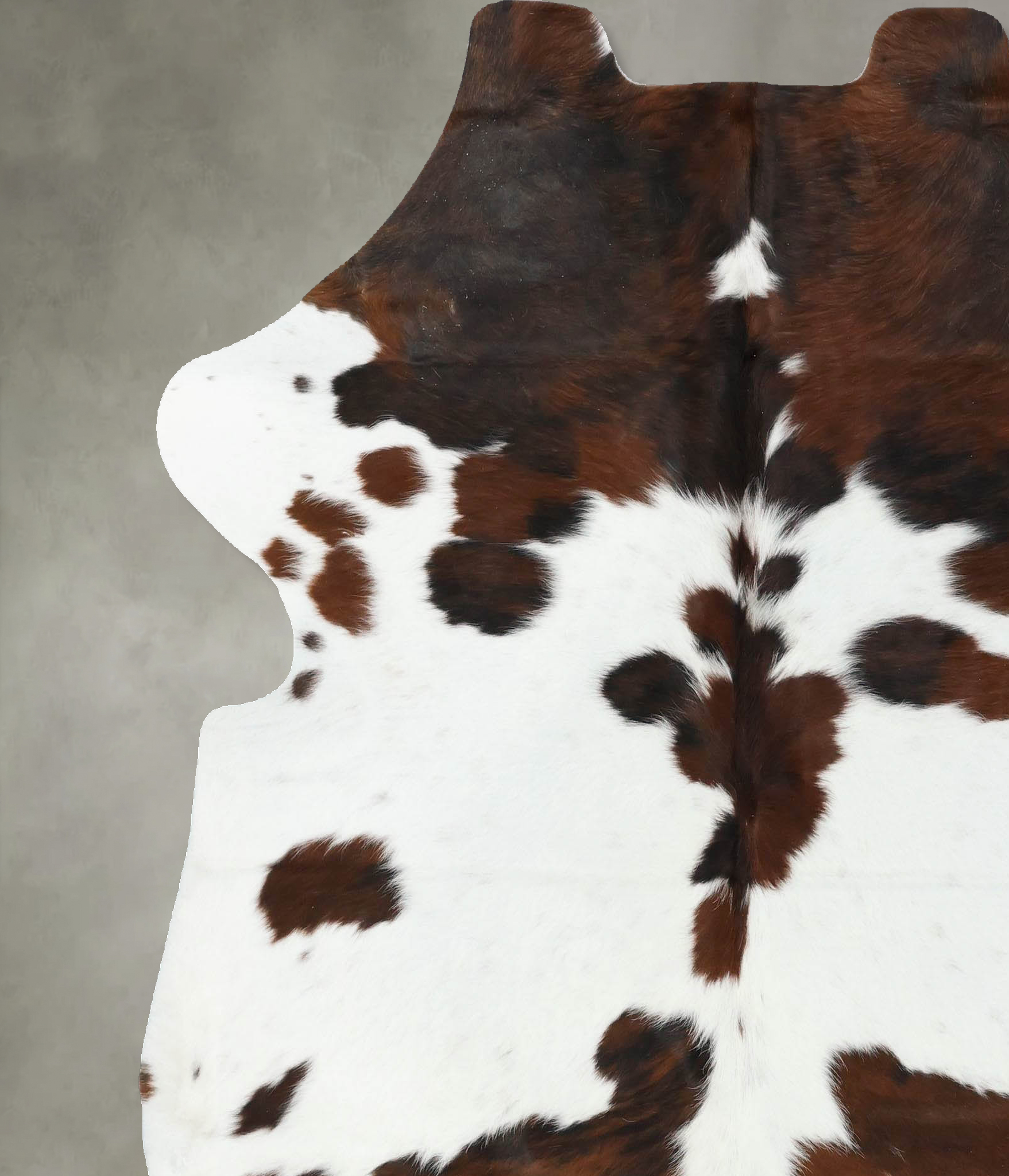 Tricolor Cowhide Rug #B22436