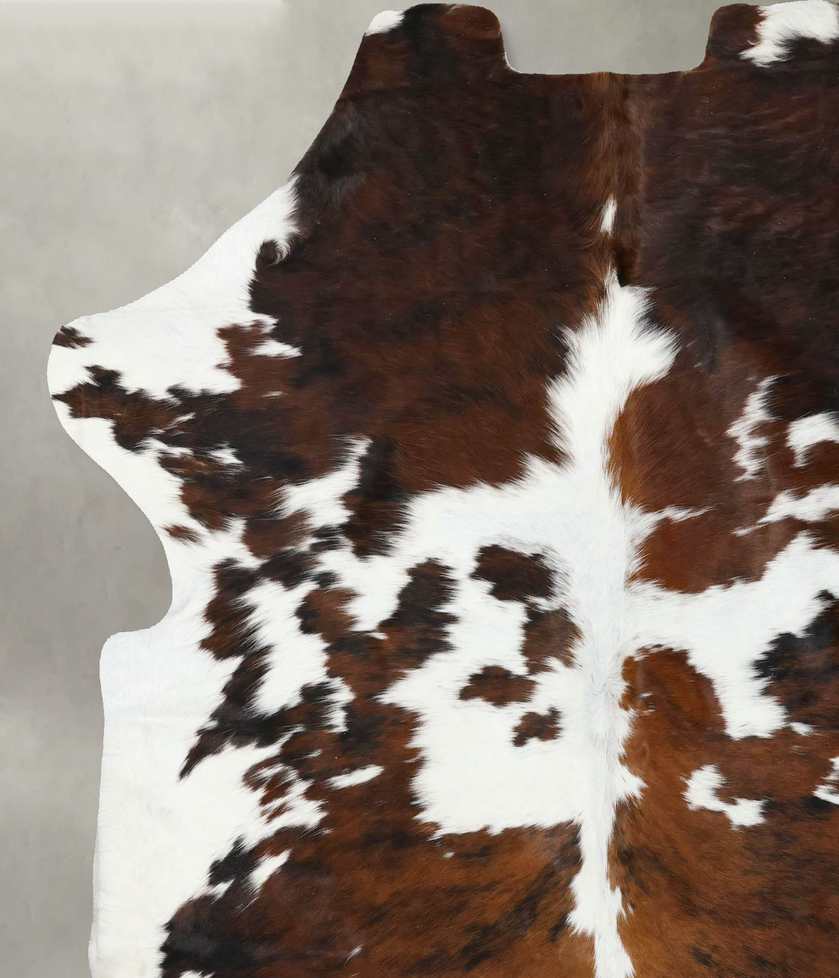 Tricolor X-Large European Cowhide Rug 7'0"H x 6'2"W #B22438 by Hudson Hides