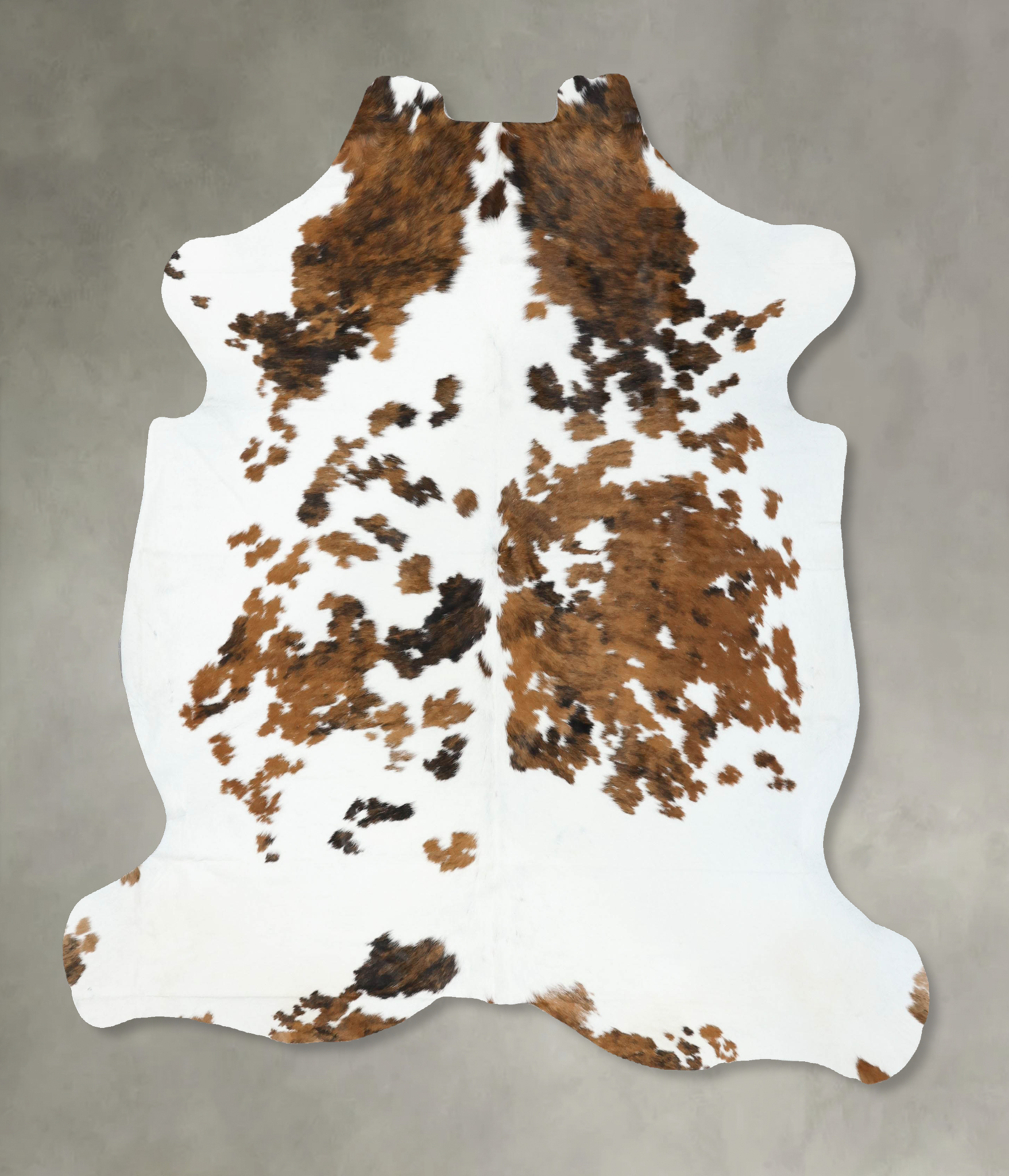 Tricolor Cowhide Rug #B22439