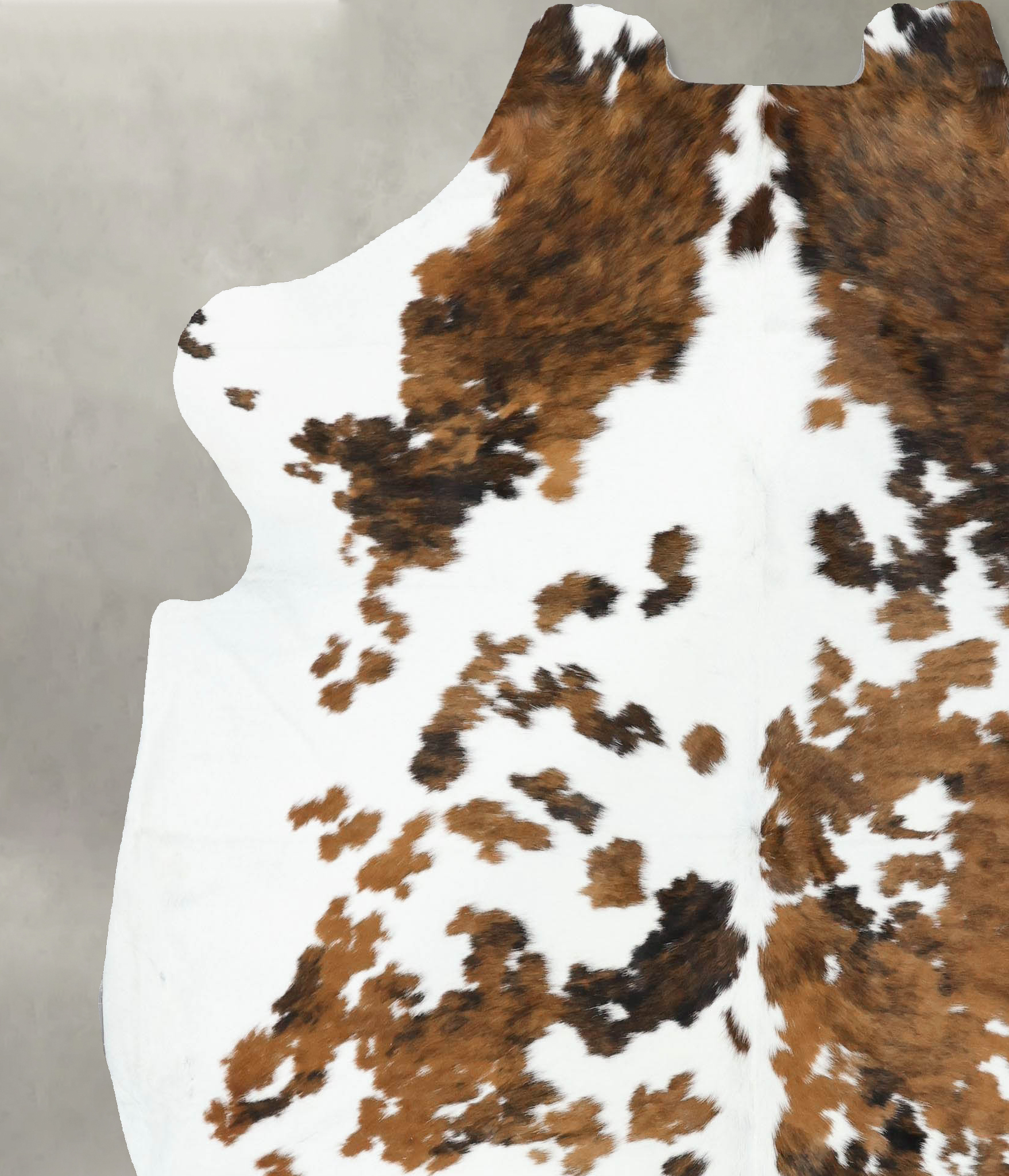 Tricolor Cowhide Rug #B22439
