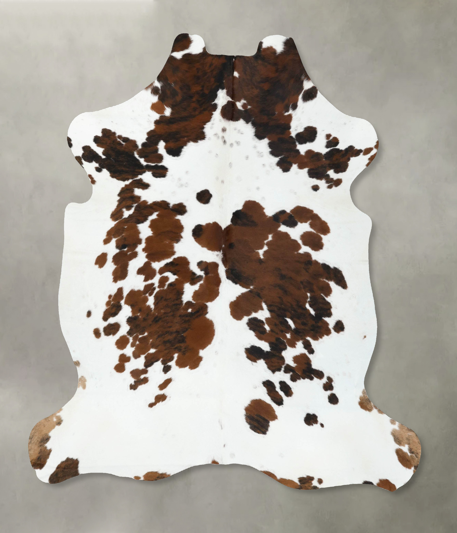 Tricolor Cowhide Rug #B22441