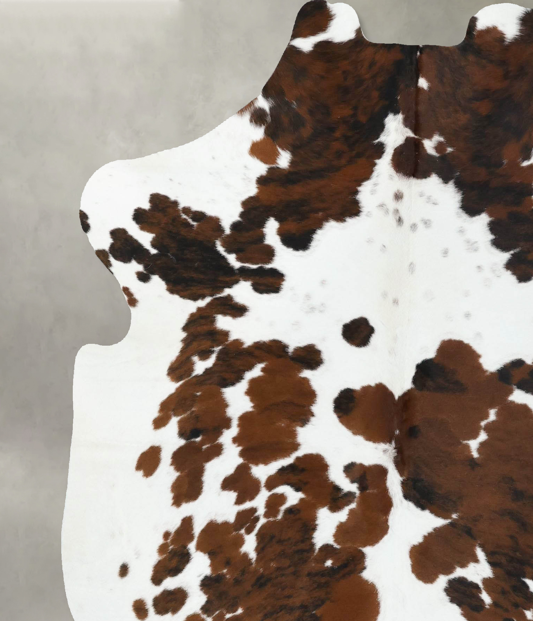 Tricolor Cowhide Rug #B22441
