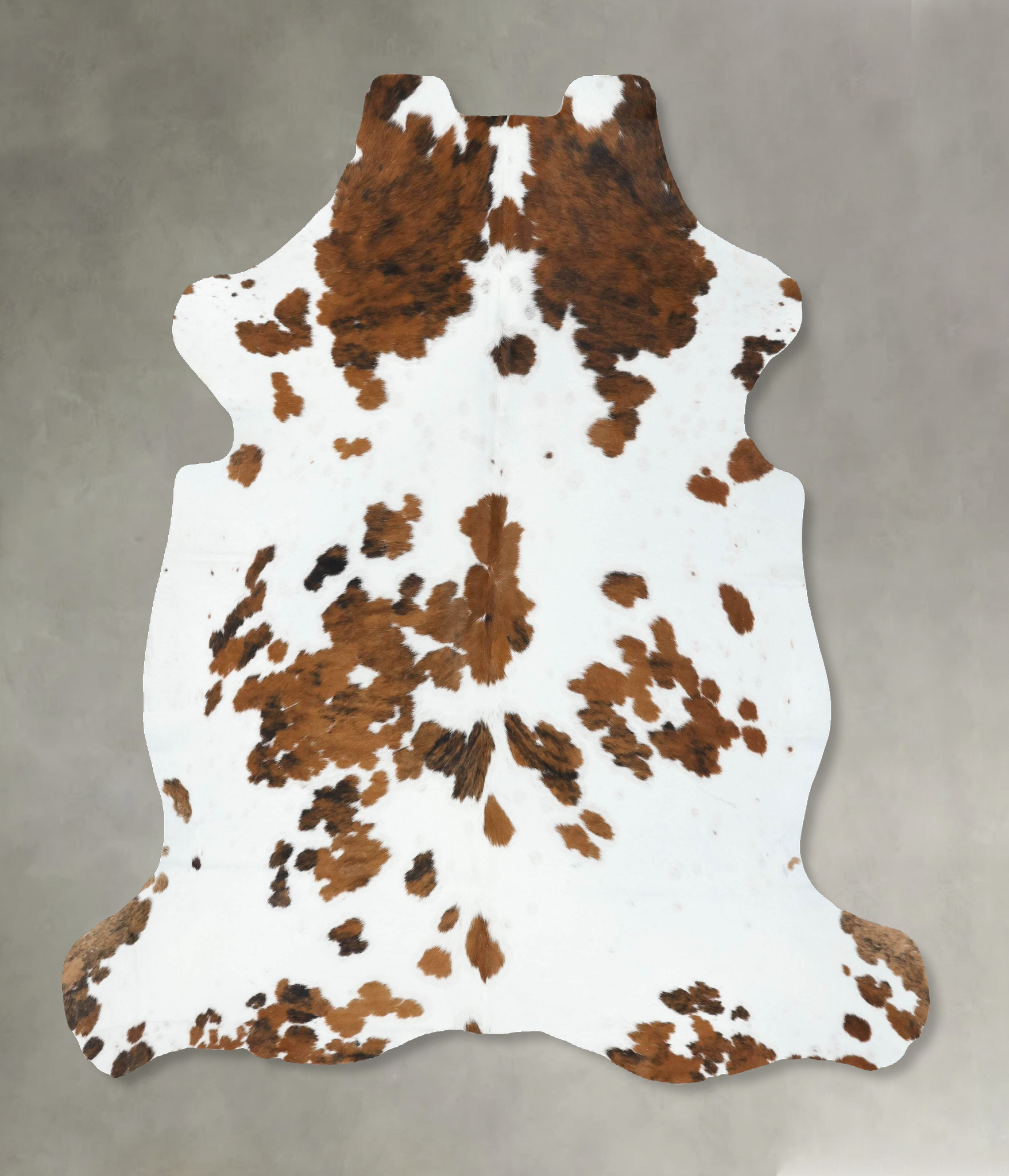 Tricolor Cowhide Rug #B22442