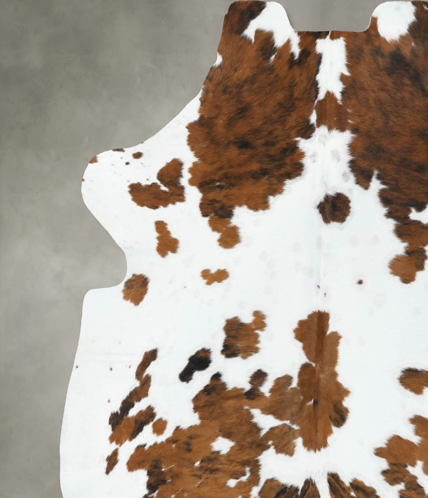 Tricolor Cowhide Rug #B22442