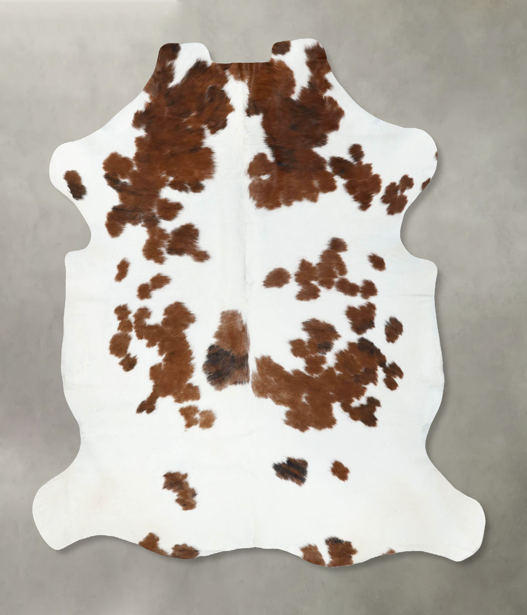 Tricolor Cowhide Rug #B22444