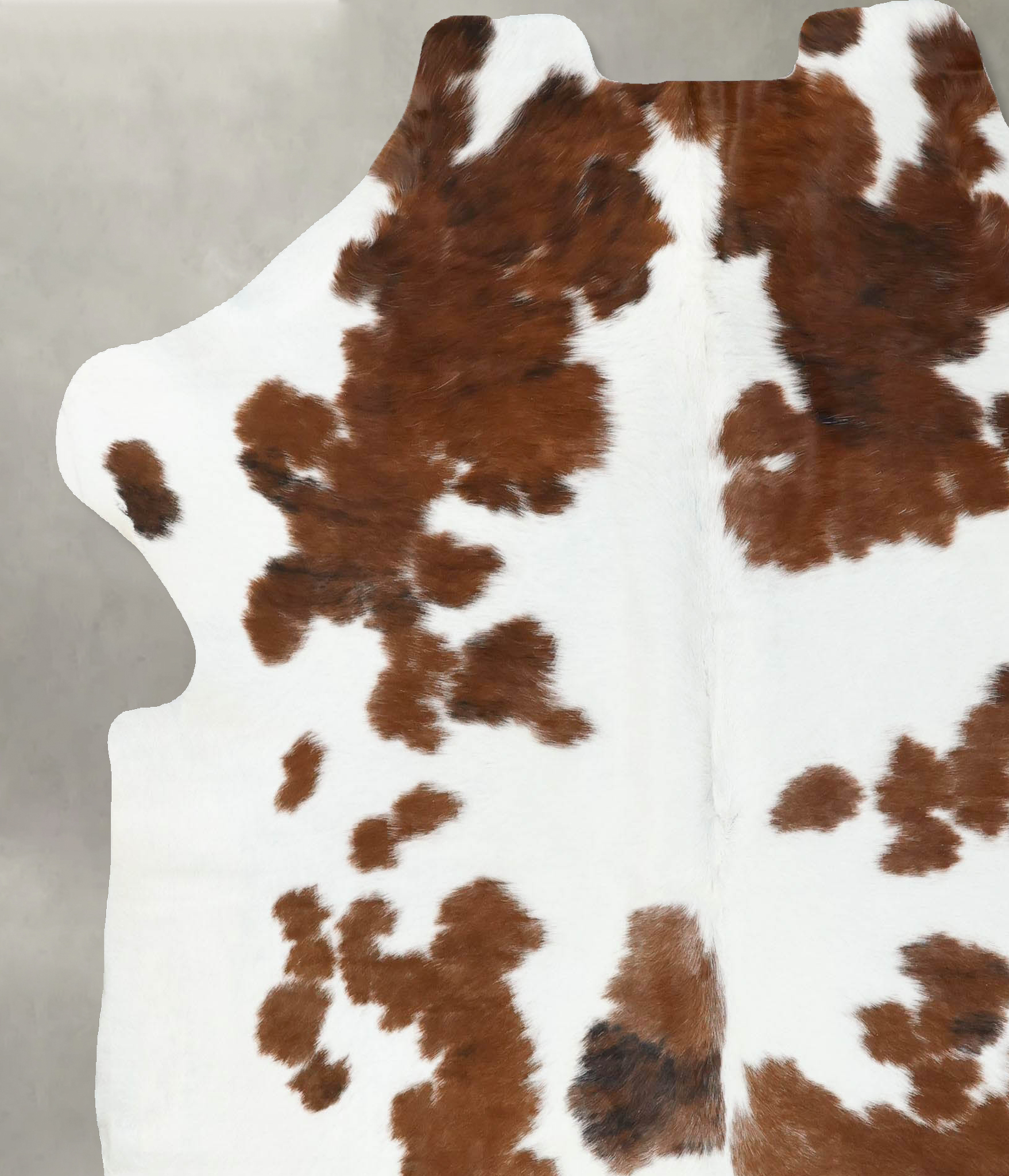 Tricolor Cowhide Rug #B22444