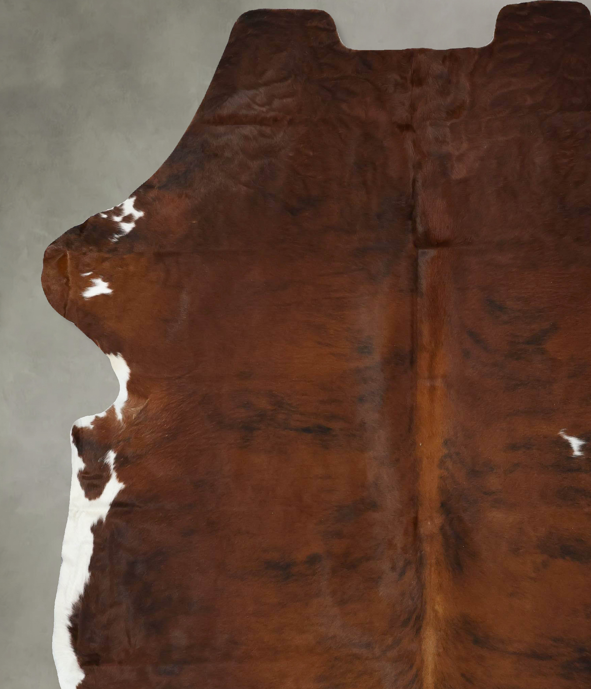 Tricolor XX-Large European Cowhide Rug 8'5"H x 6'10"W #B22453 by Hudson Hides